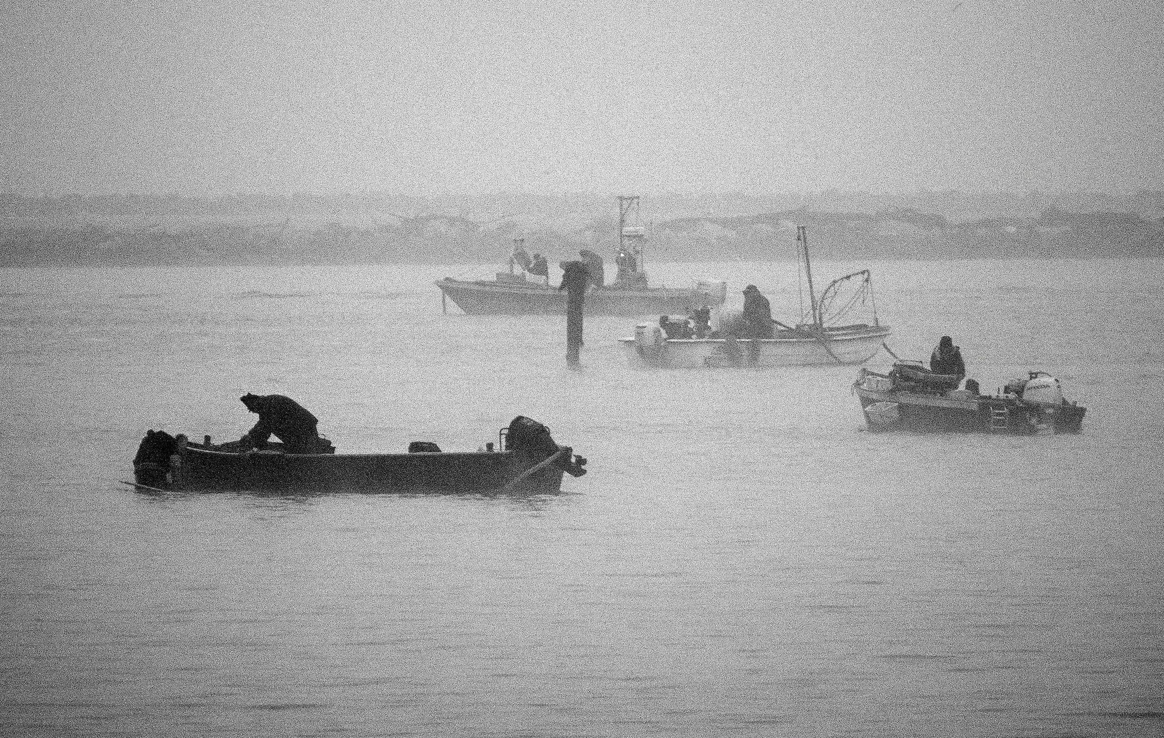 fishermen Scardovari