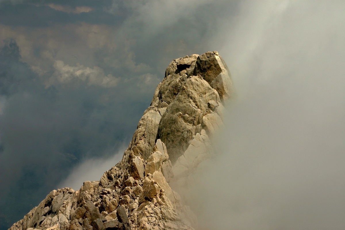 Campanile Livia the Little Horn