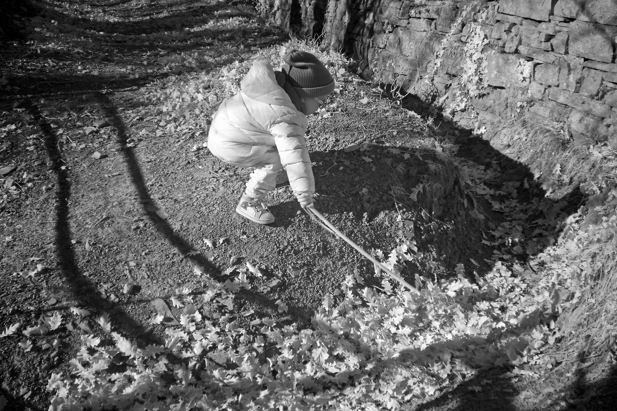 Altra prova ad infrarossi