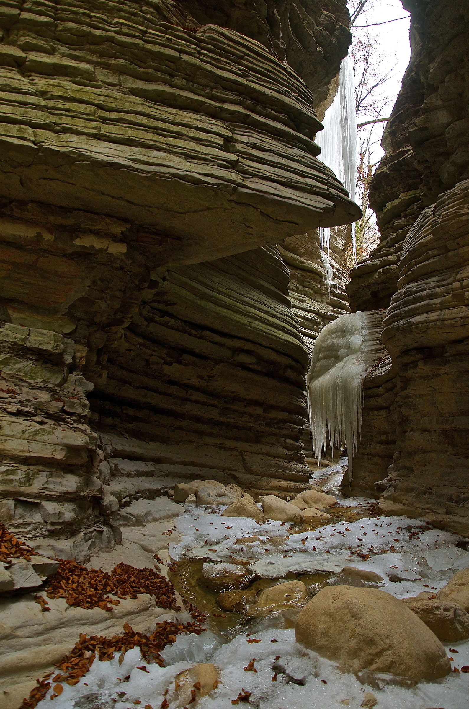 Sta arrivando l'inverno nel Canyon