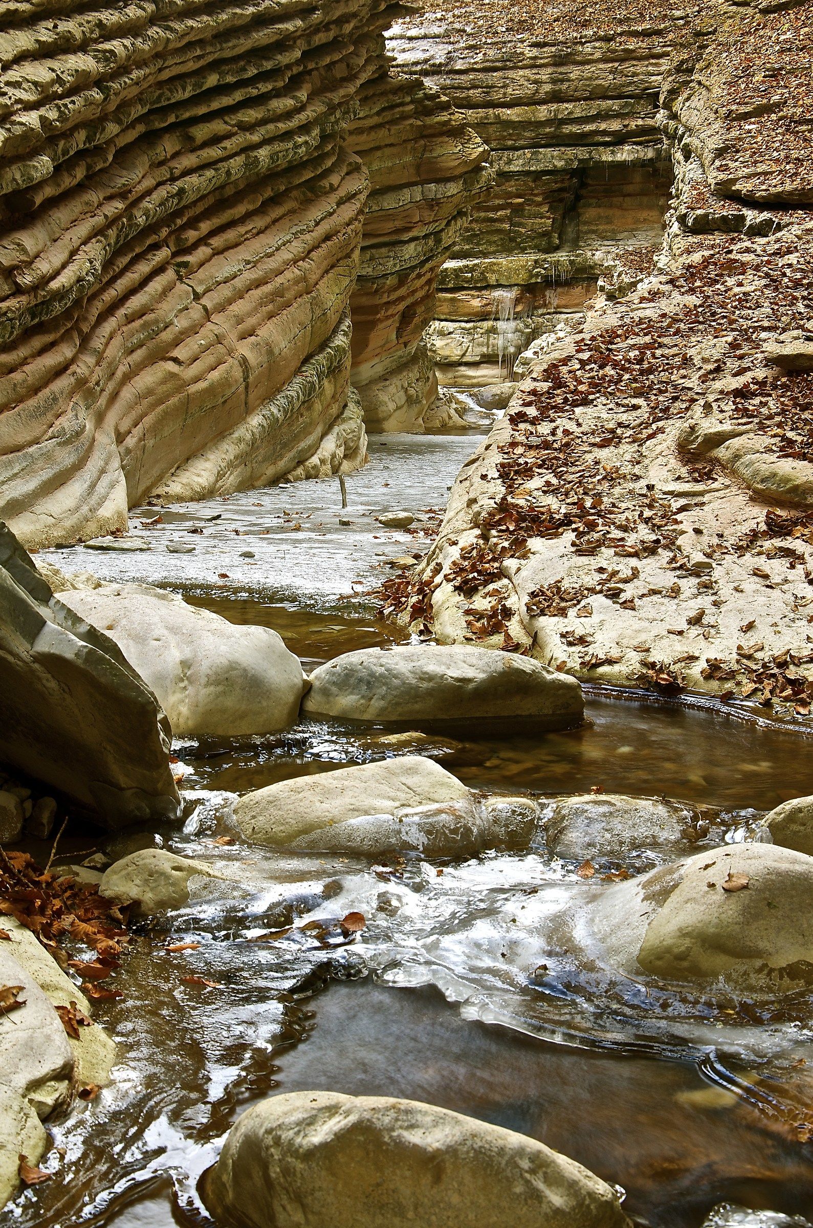 Sta arrivando l'inverno nel Canyon