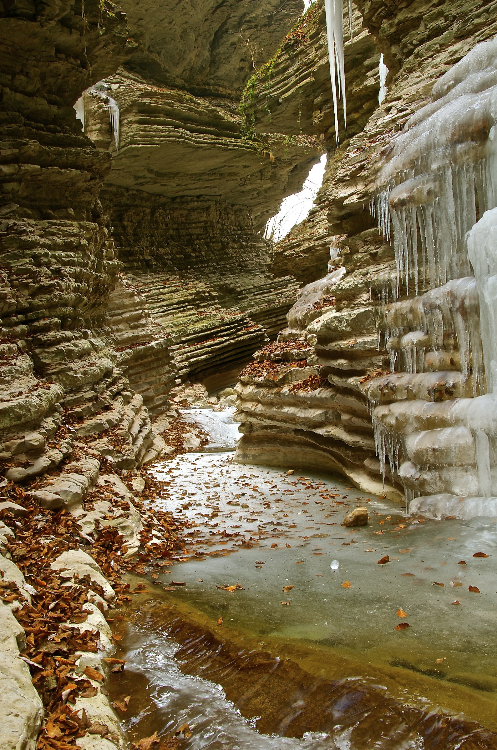 Sta arrivando l'inverno nel Canyon