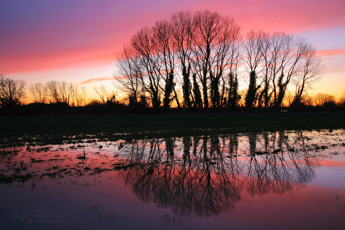 Tramonto sull'Isonzo