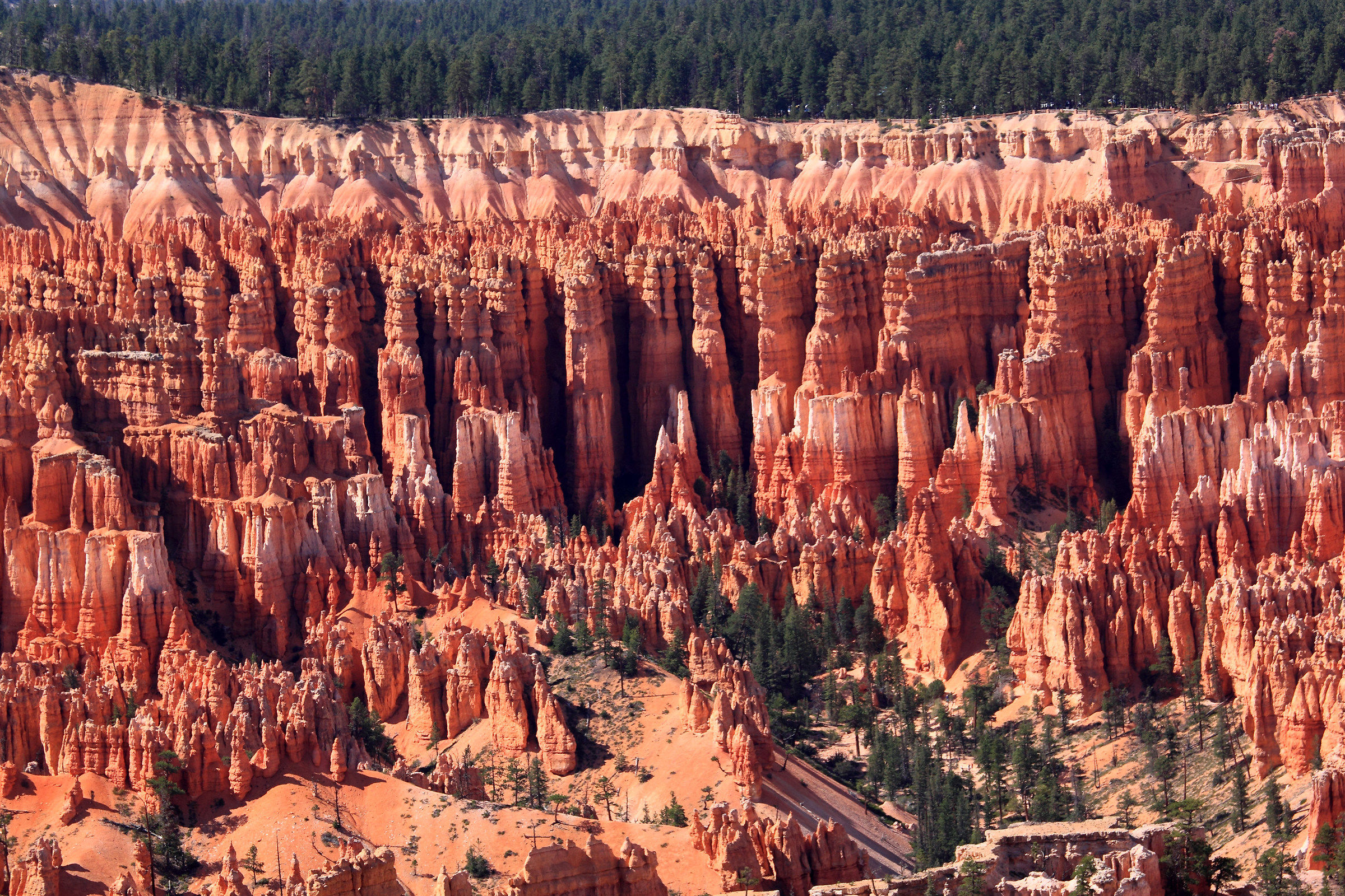 panoramica Bryce canyon