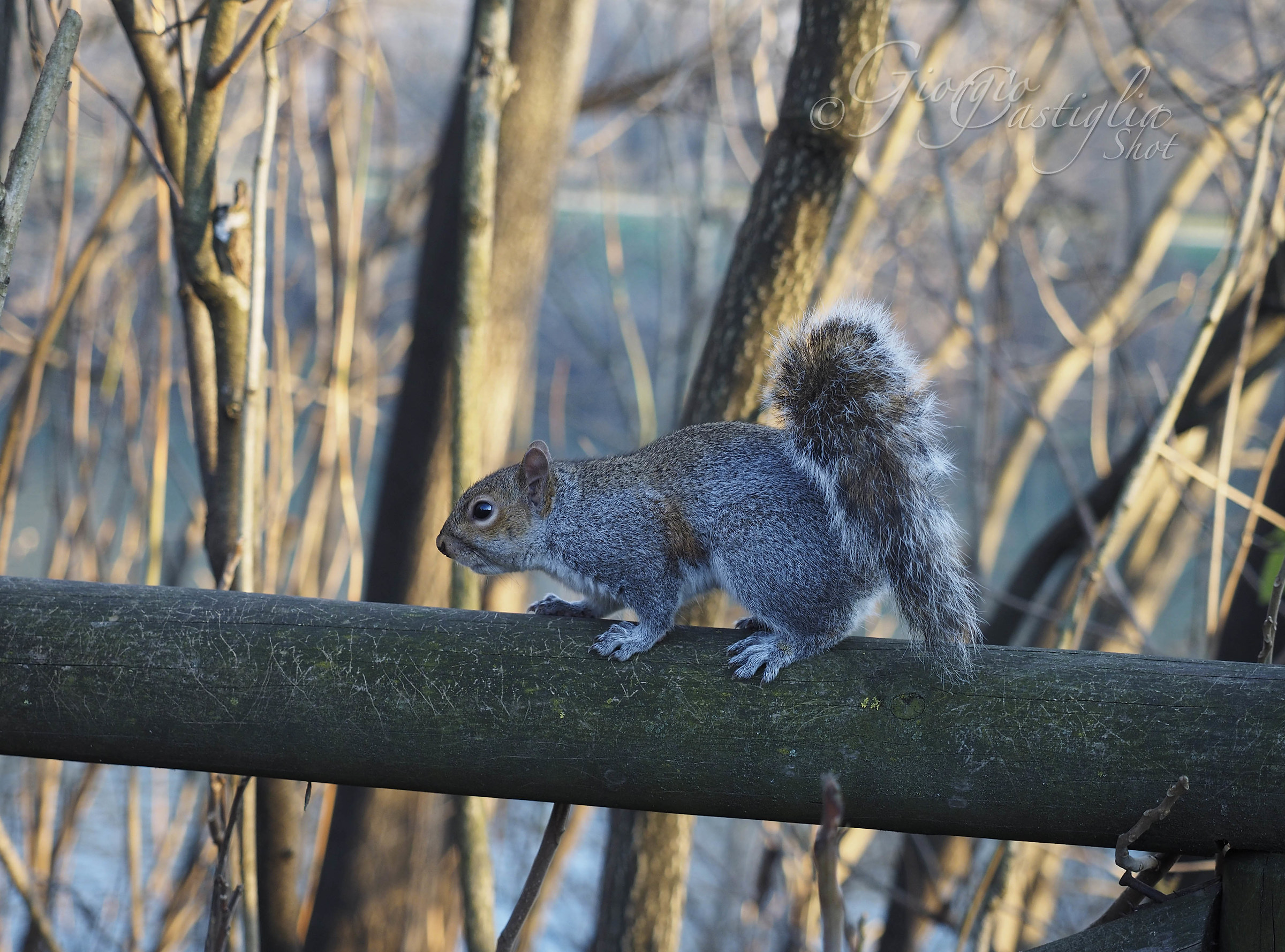 Incontri di fine Anno