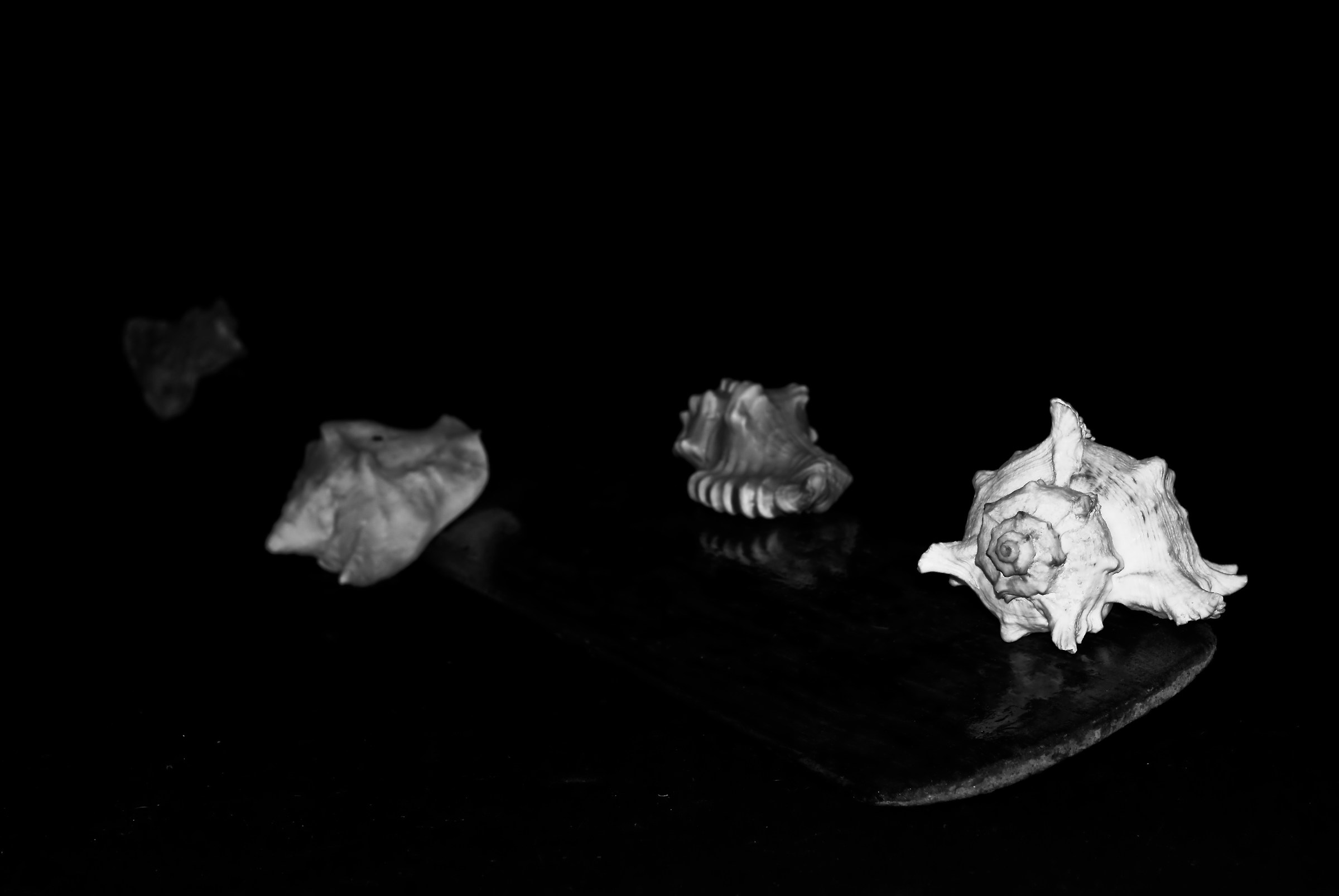 The Remo and the Sea