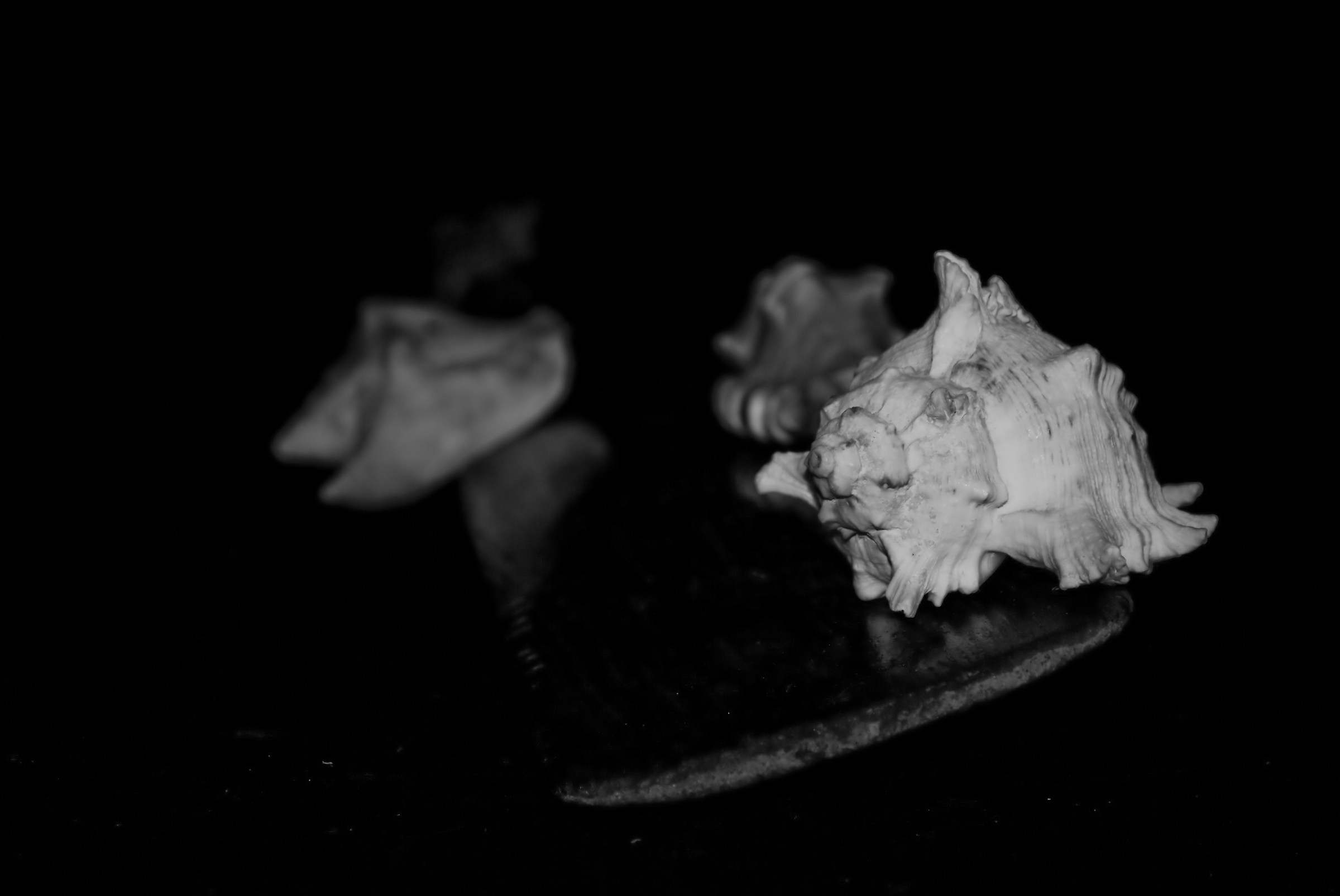 The Remo to the Sea II