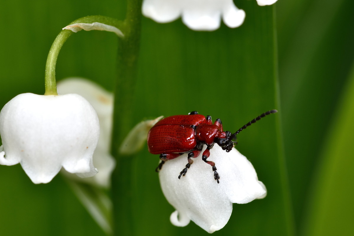 I wait till I start posing ...