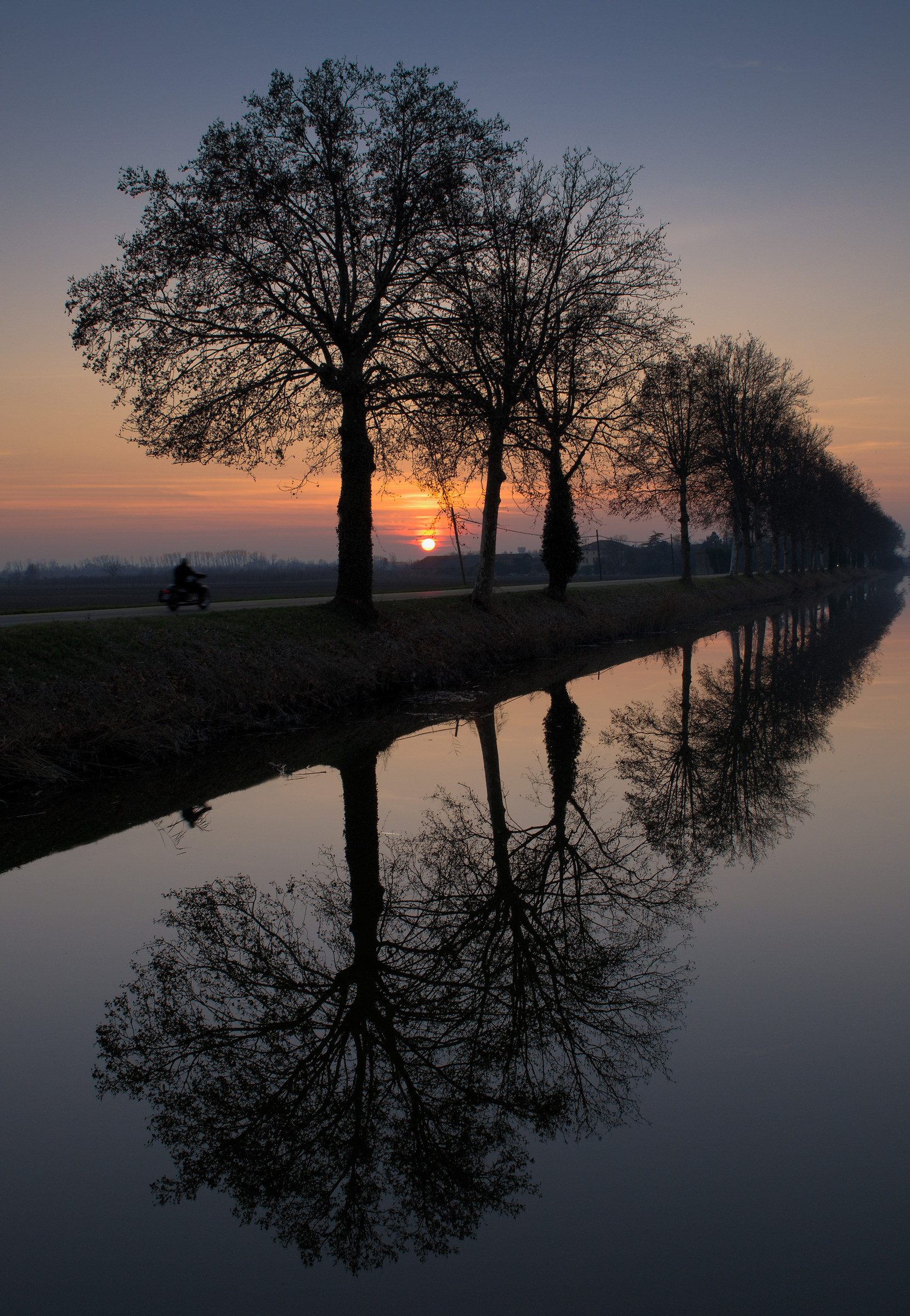 una giornata qualunque, il ritorno.....