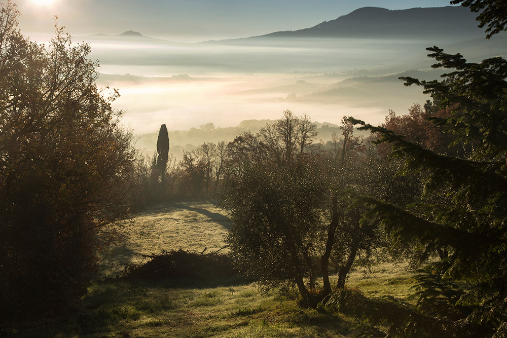 Val d'Orcia immersa nella nebbia - 3