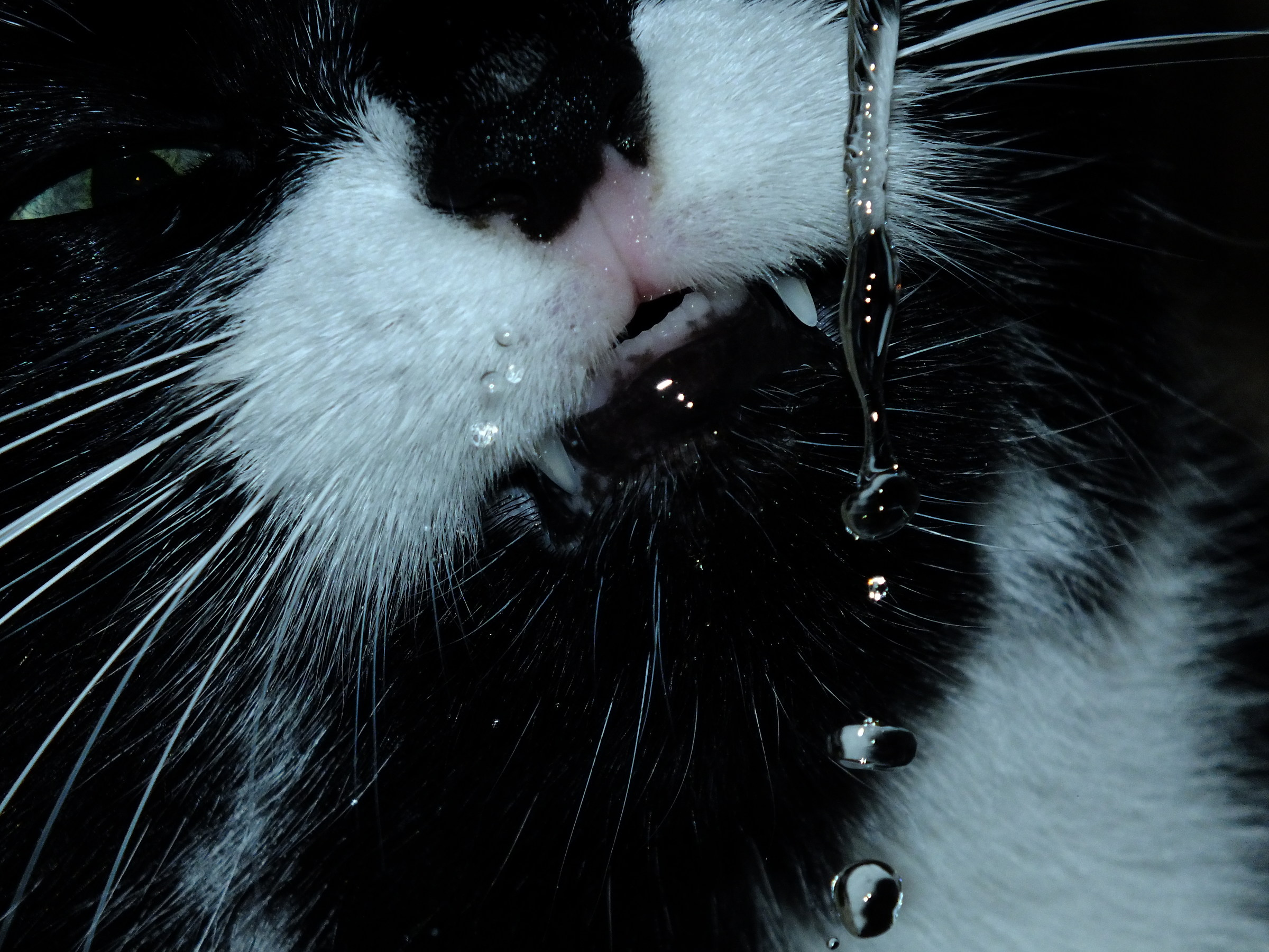 So much so thirsty ..