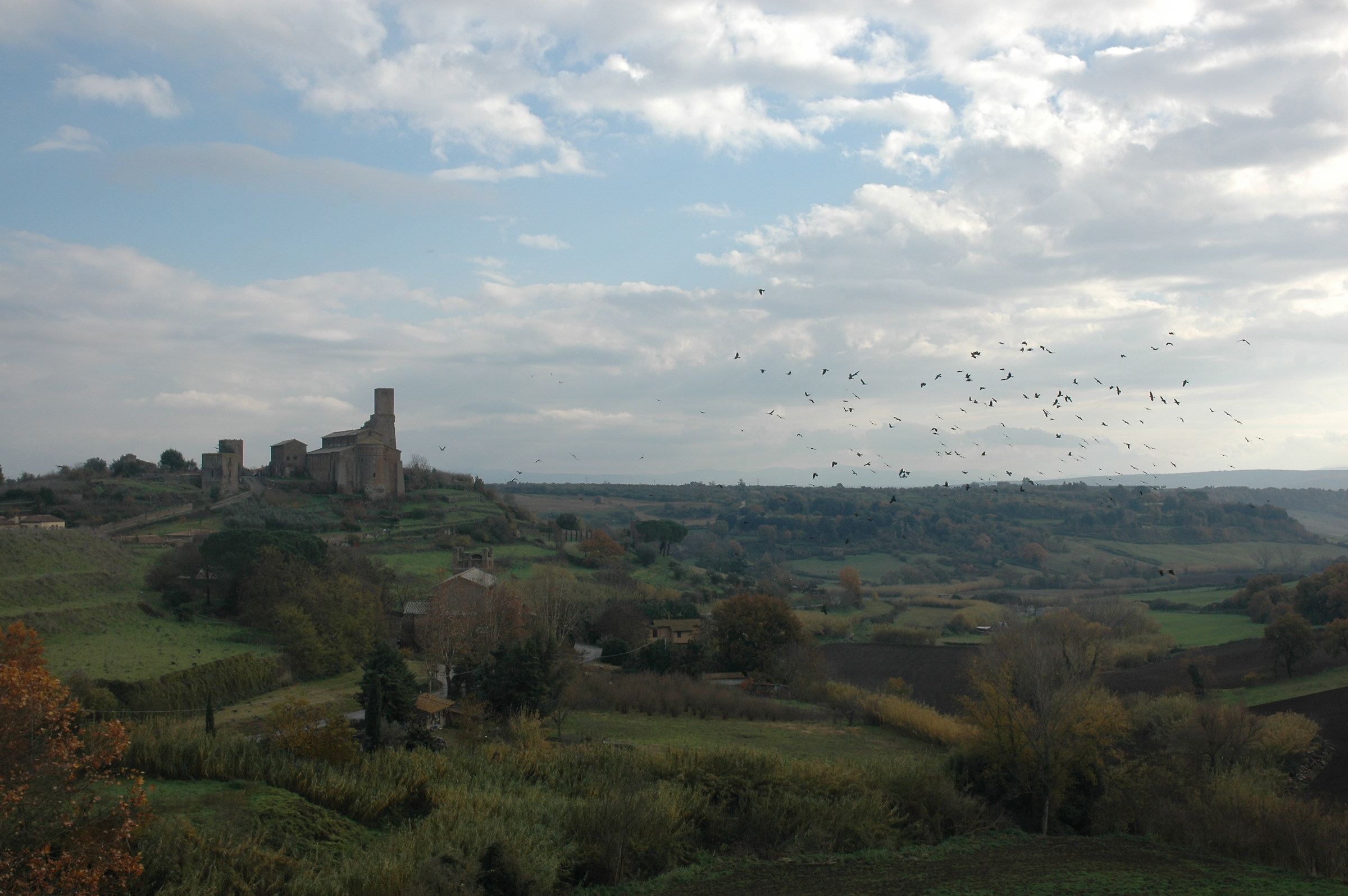 Tuscania