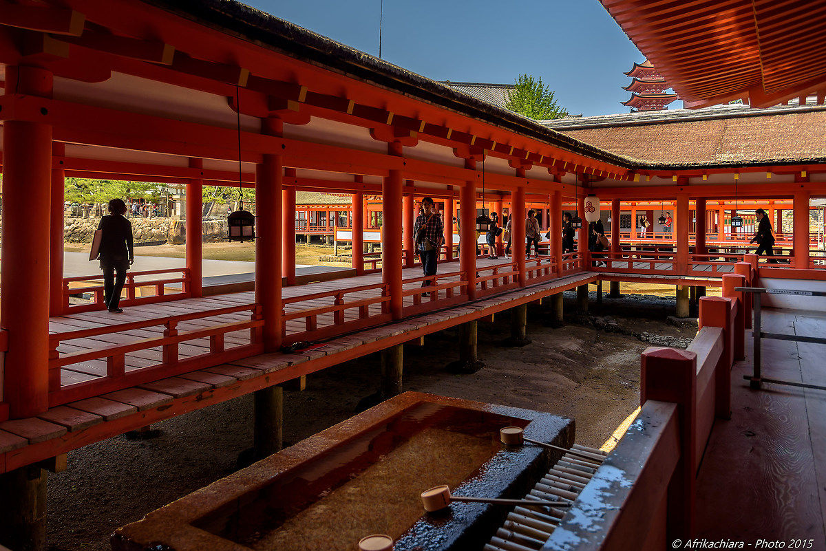Miyajima island-Itsukushima Shrine