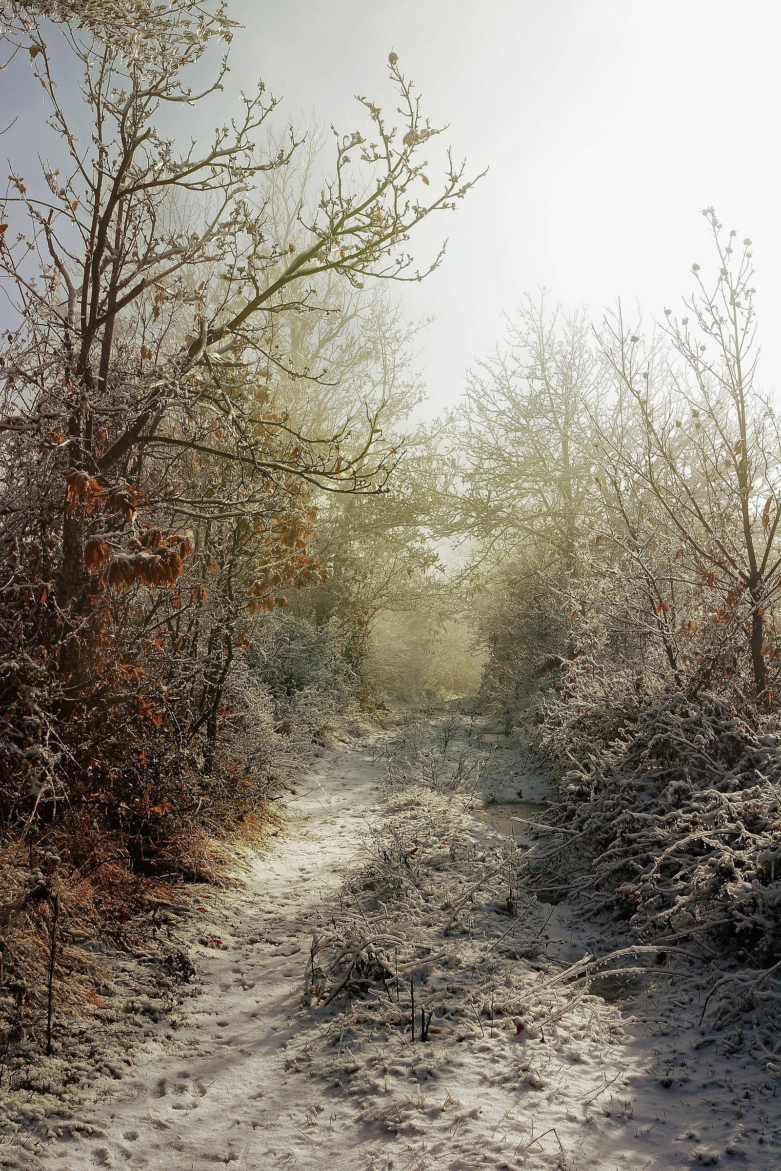 Prima neve a Berceto