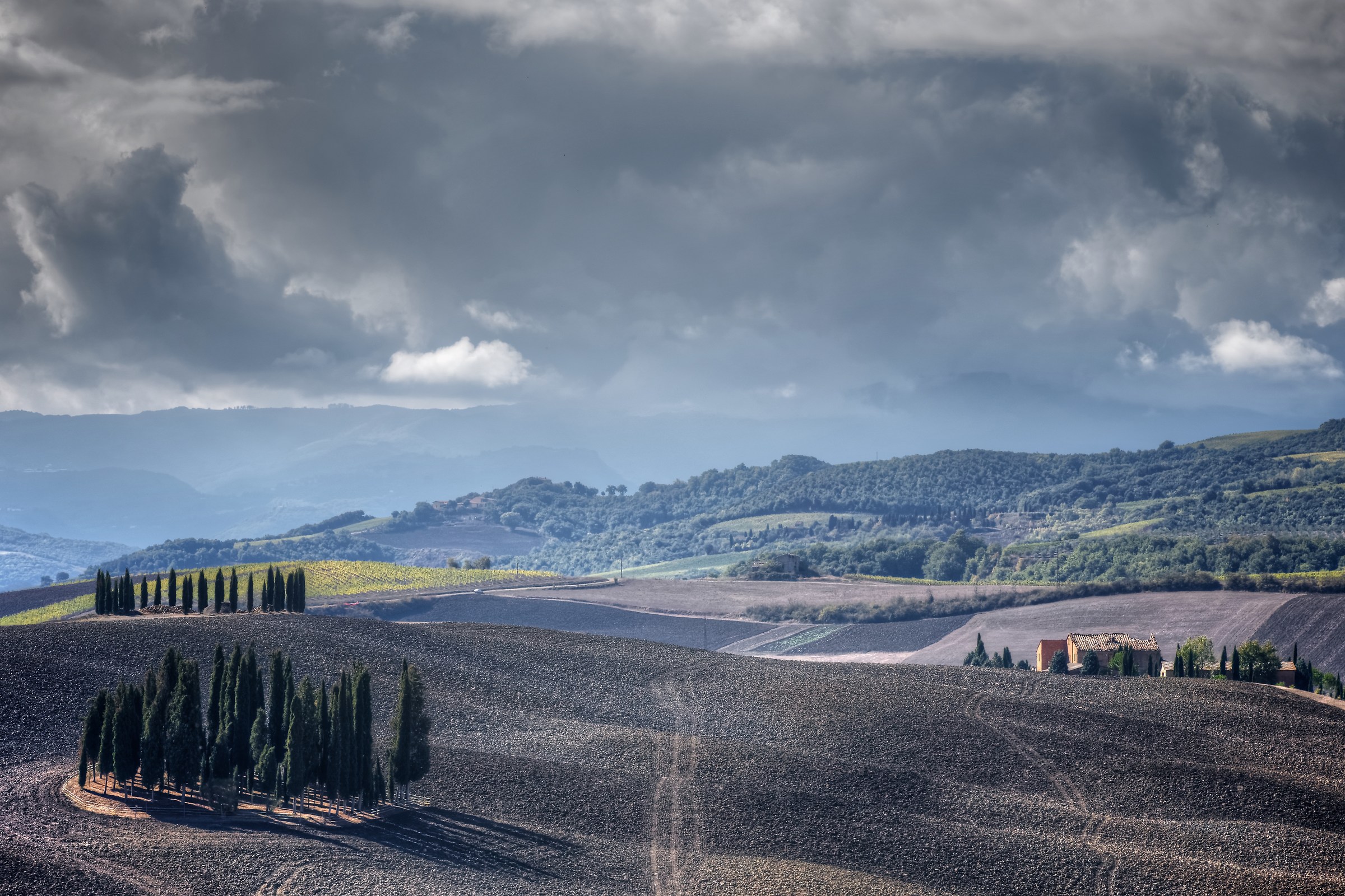 the cypress trees, the house, the storm