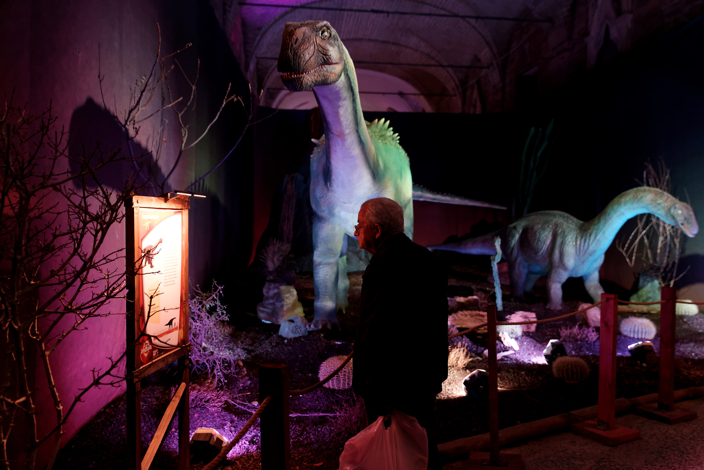 Dinosaurs, a passion ageless