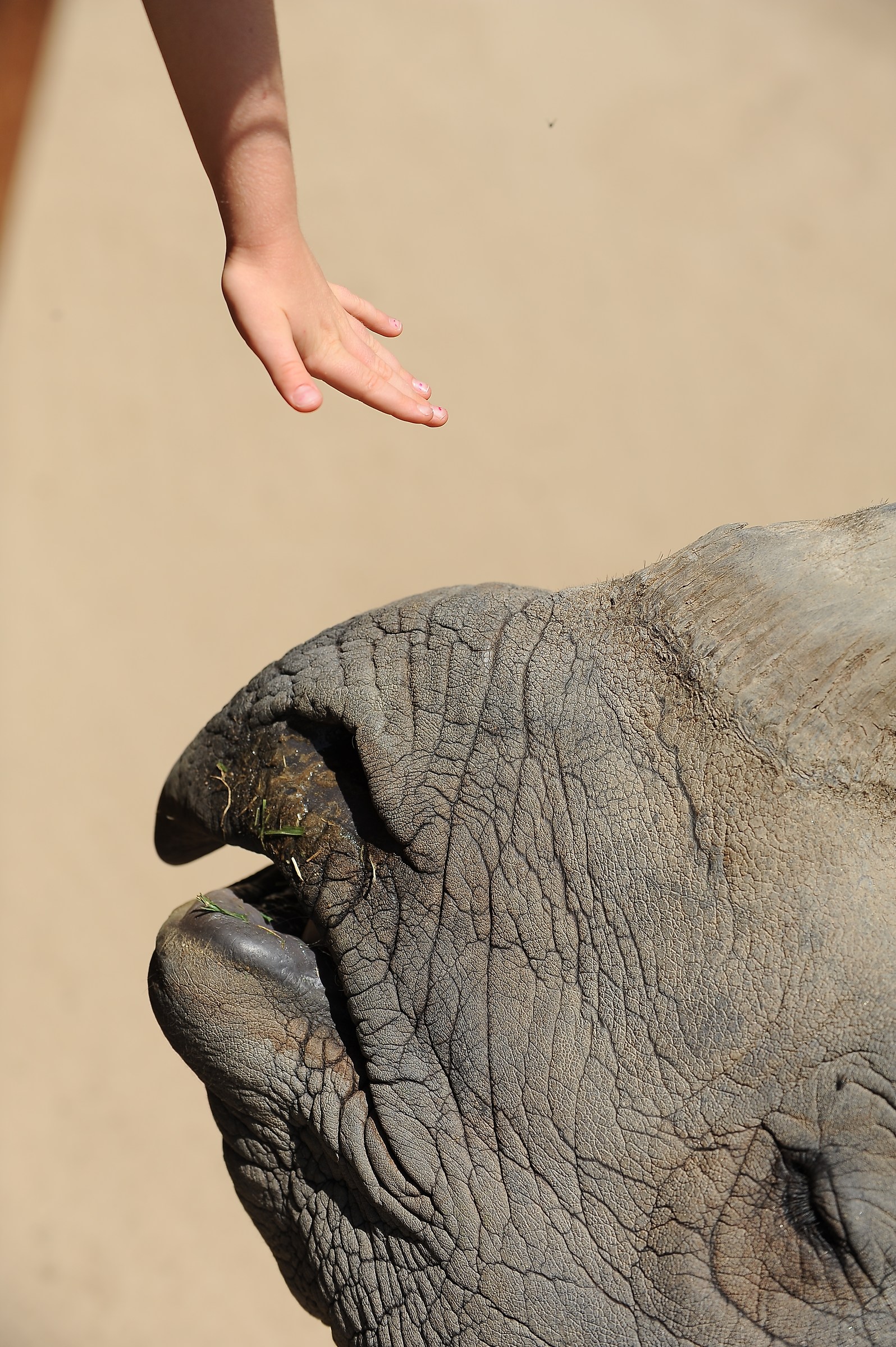 the courage of unconsciousness