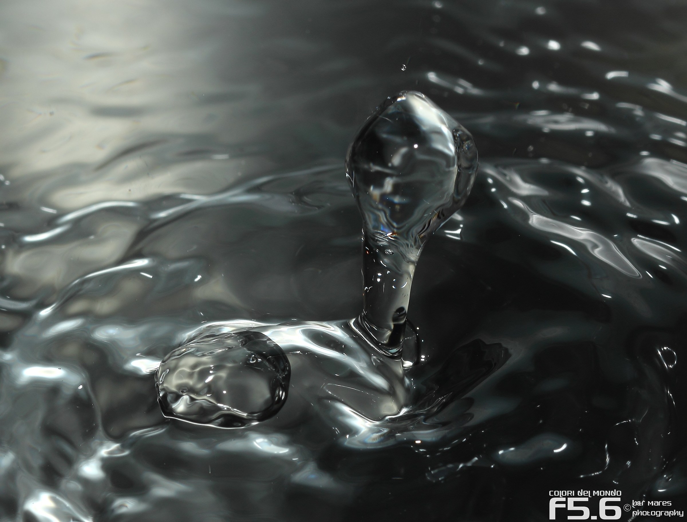 Il mostro di Loch Ness