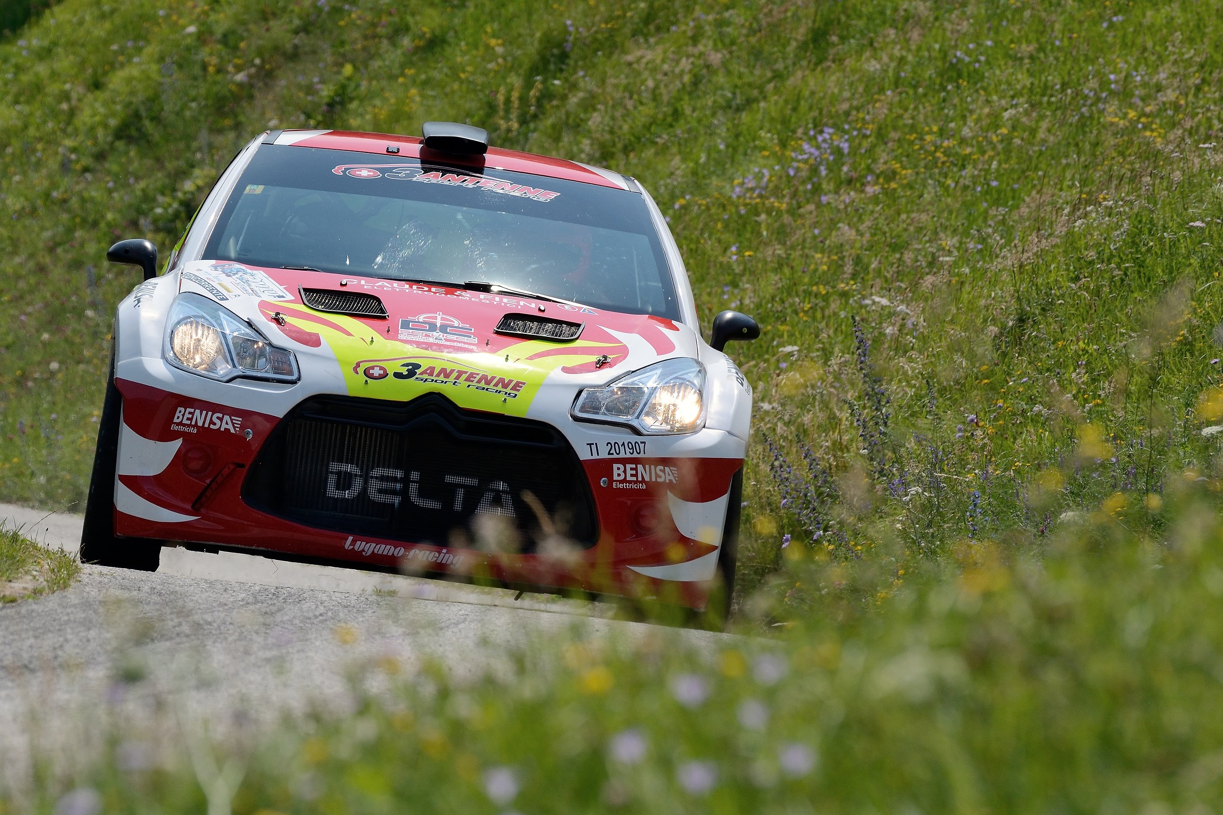 Ticino 2015 - Ash Barracks in Fiore