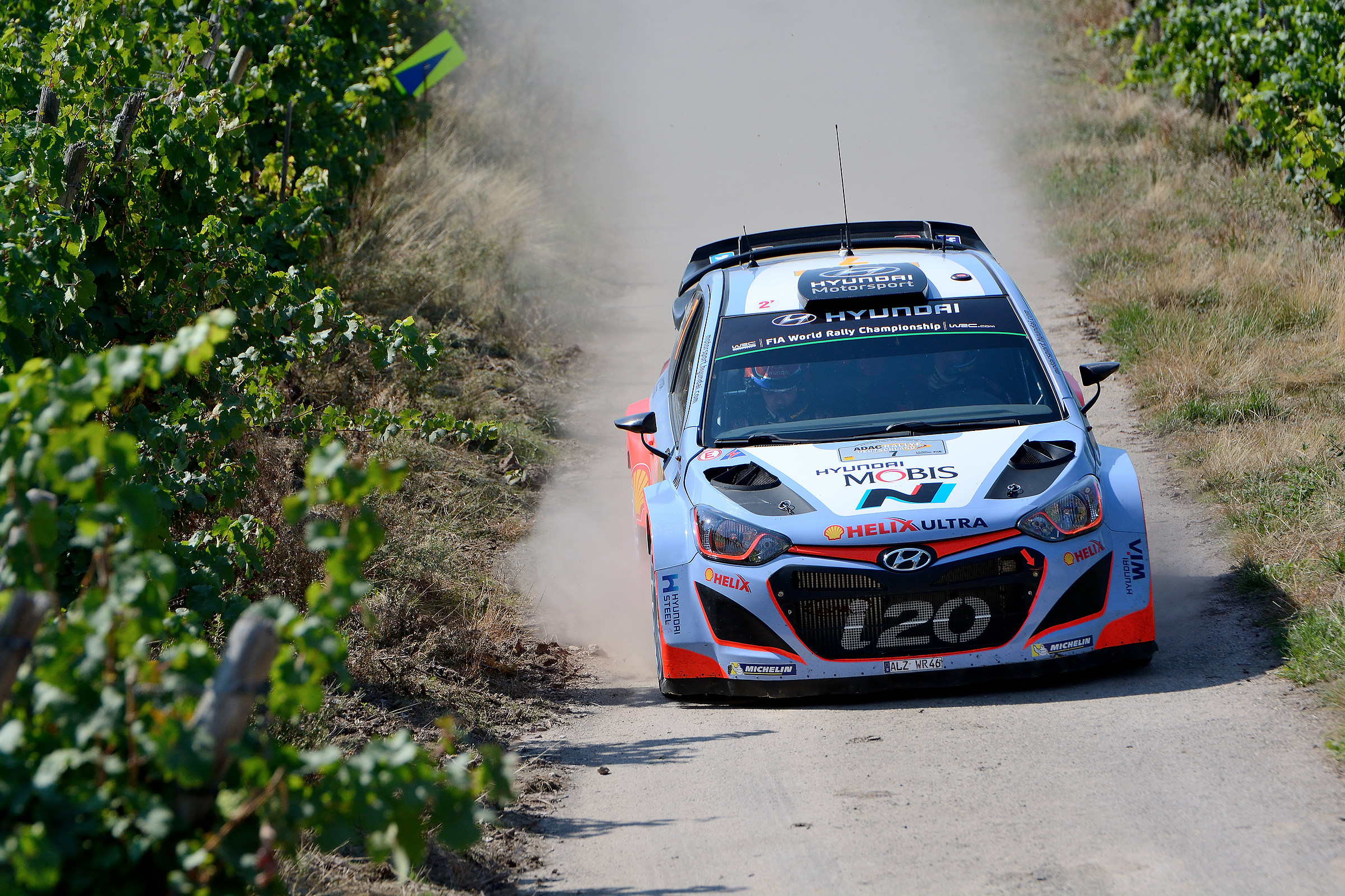 Neuville in action among the vines