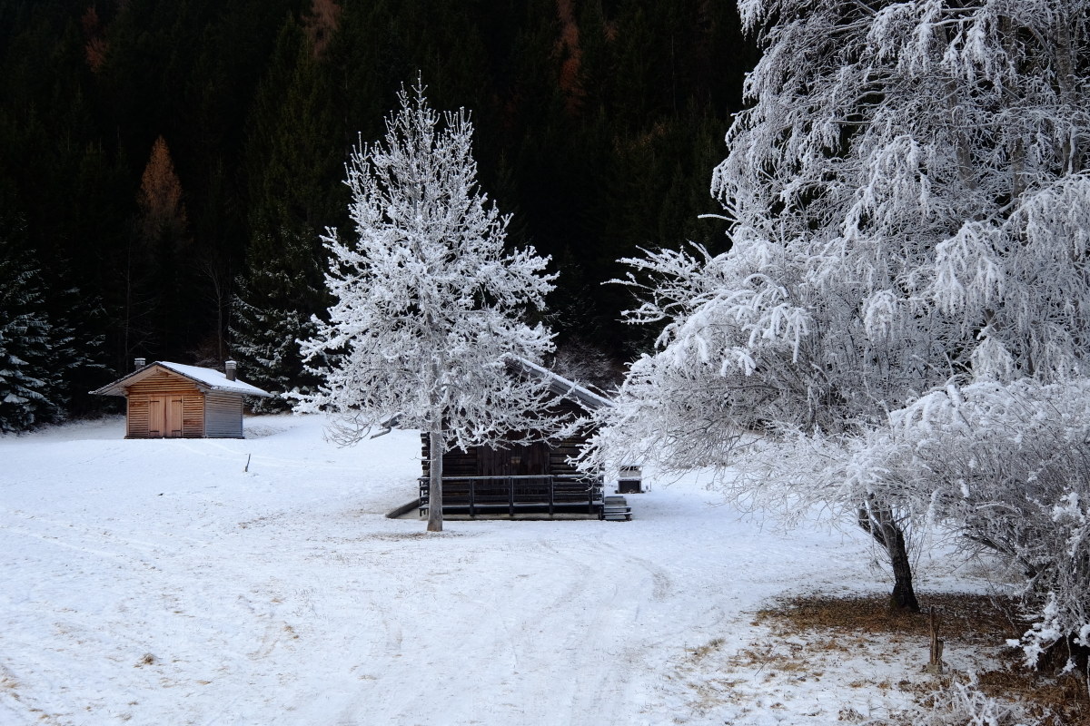 Dove il sole non arriva