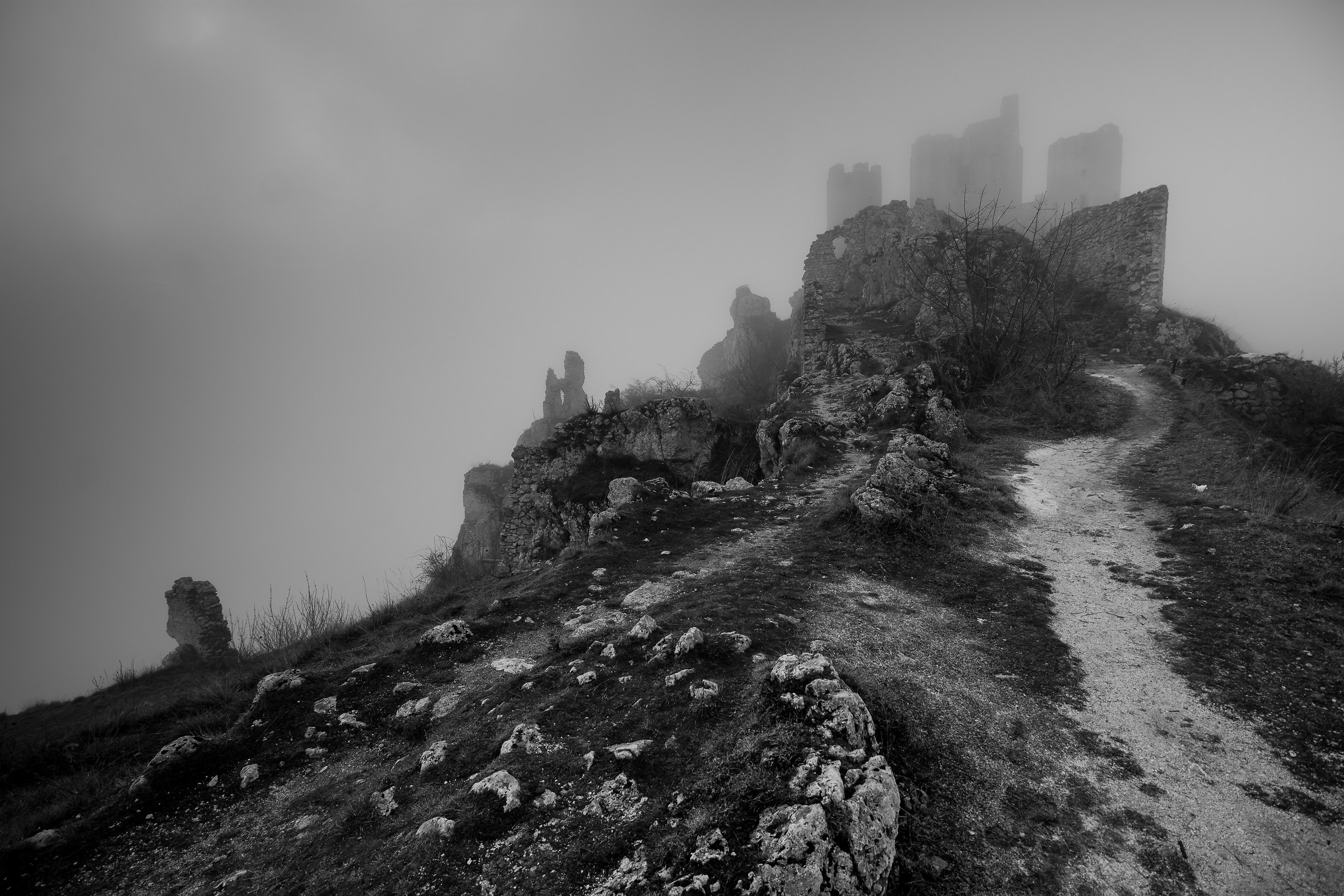 Ladyhawke tra la nebbia