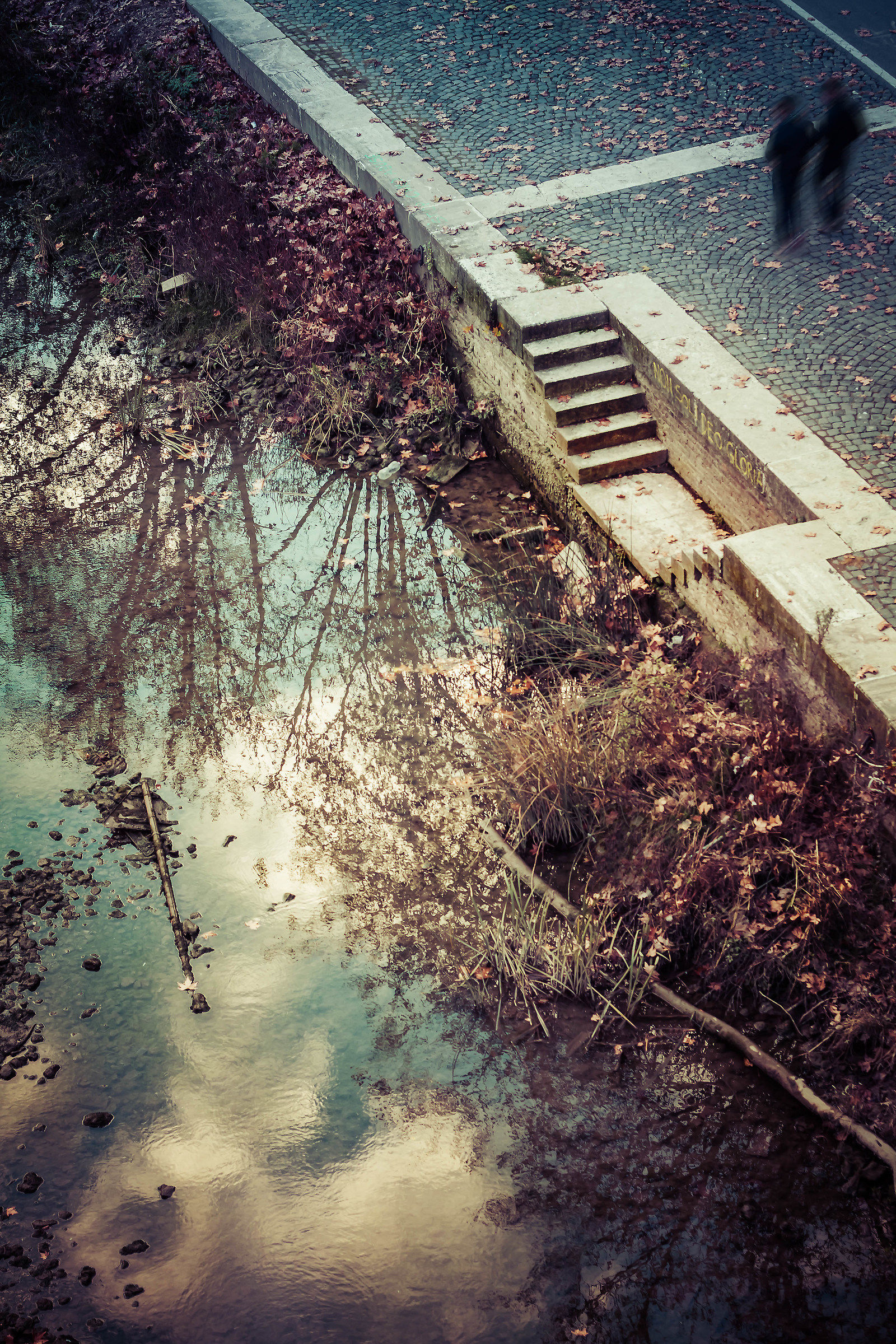 walk in the afternoon