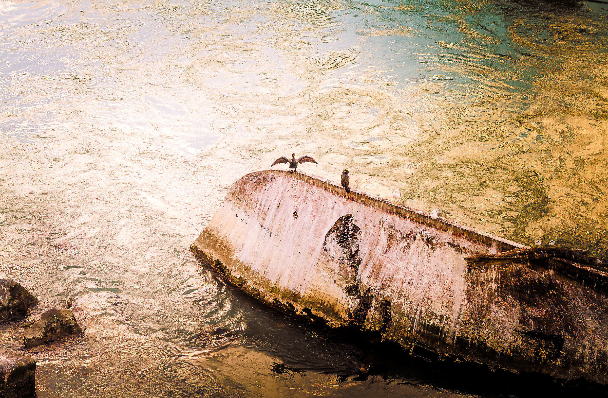 walk in the afternoon