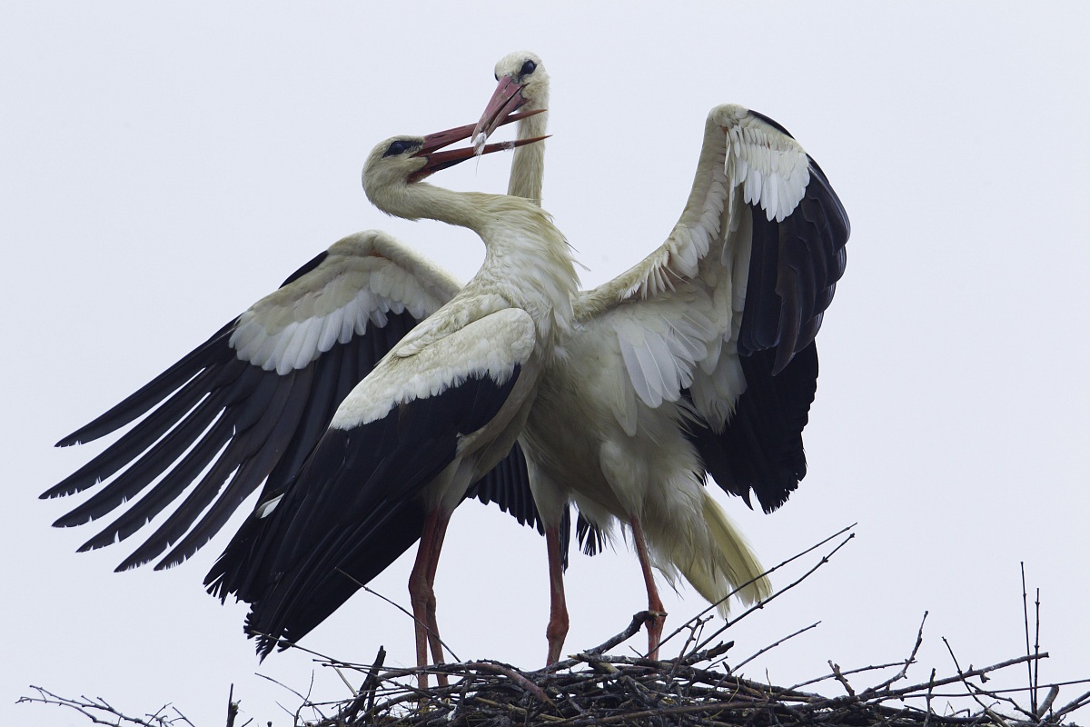 in giro x la Slovenia 3