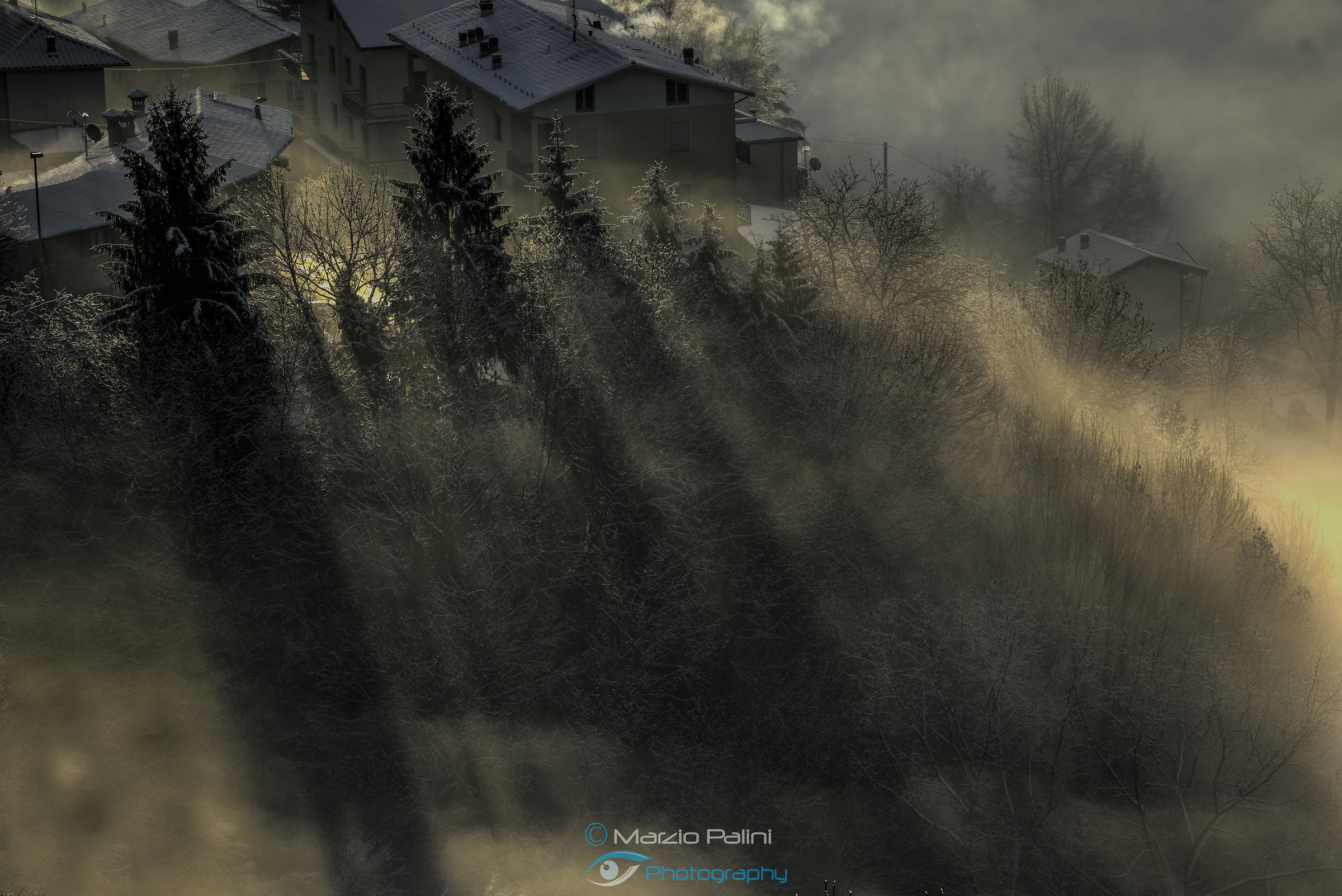 Snow ... Fog ... Magic Moment