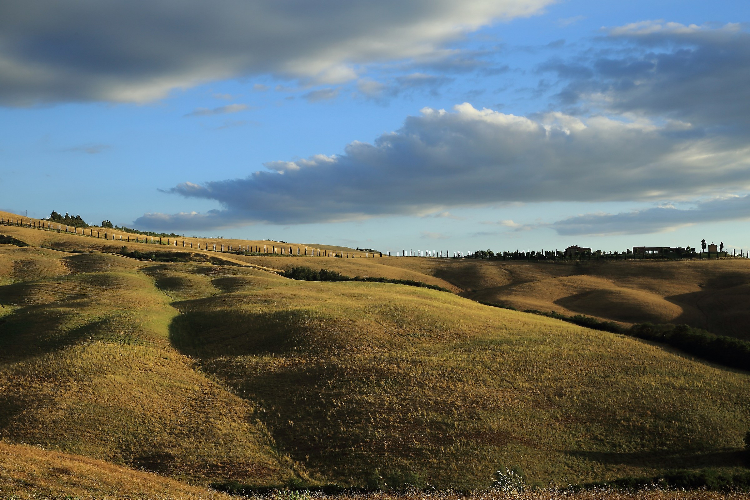 "Sulle colline di Asciano"