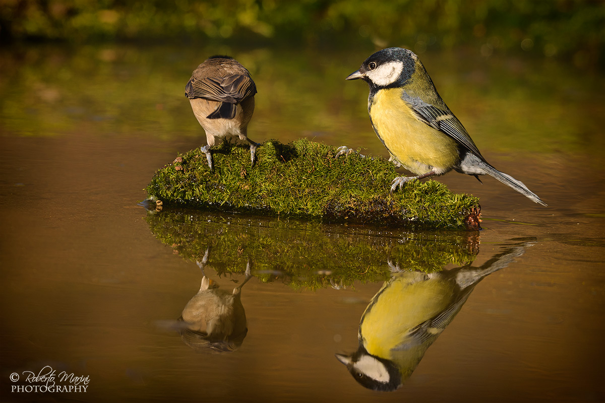 I look at the side B