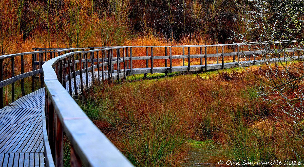 Along the path of Tipha