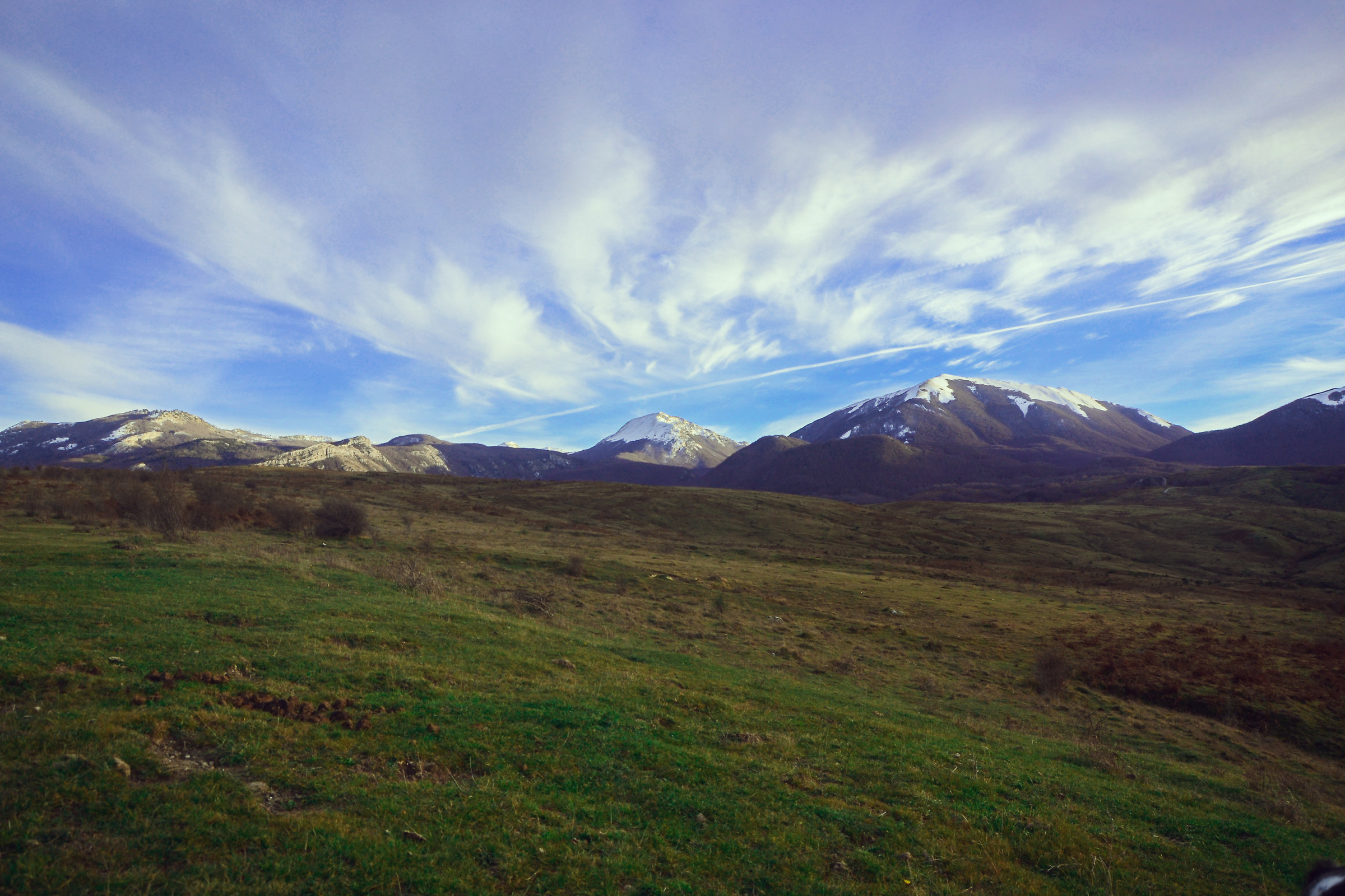 In anything or everything