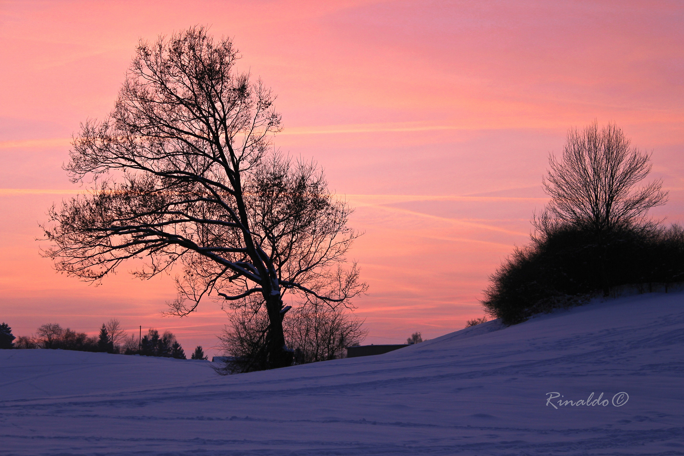 Warm and cool light of a winter landscape