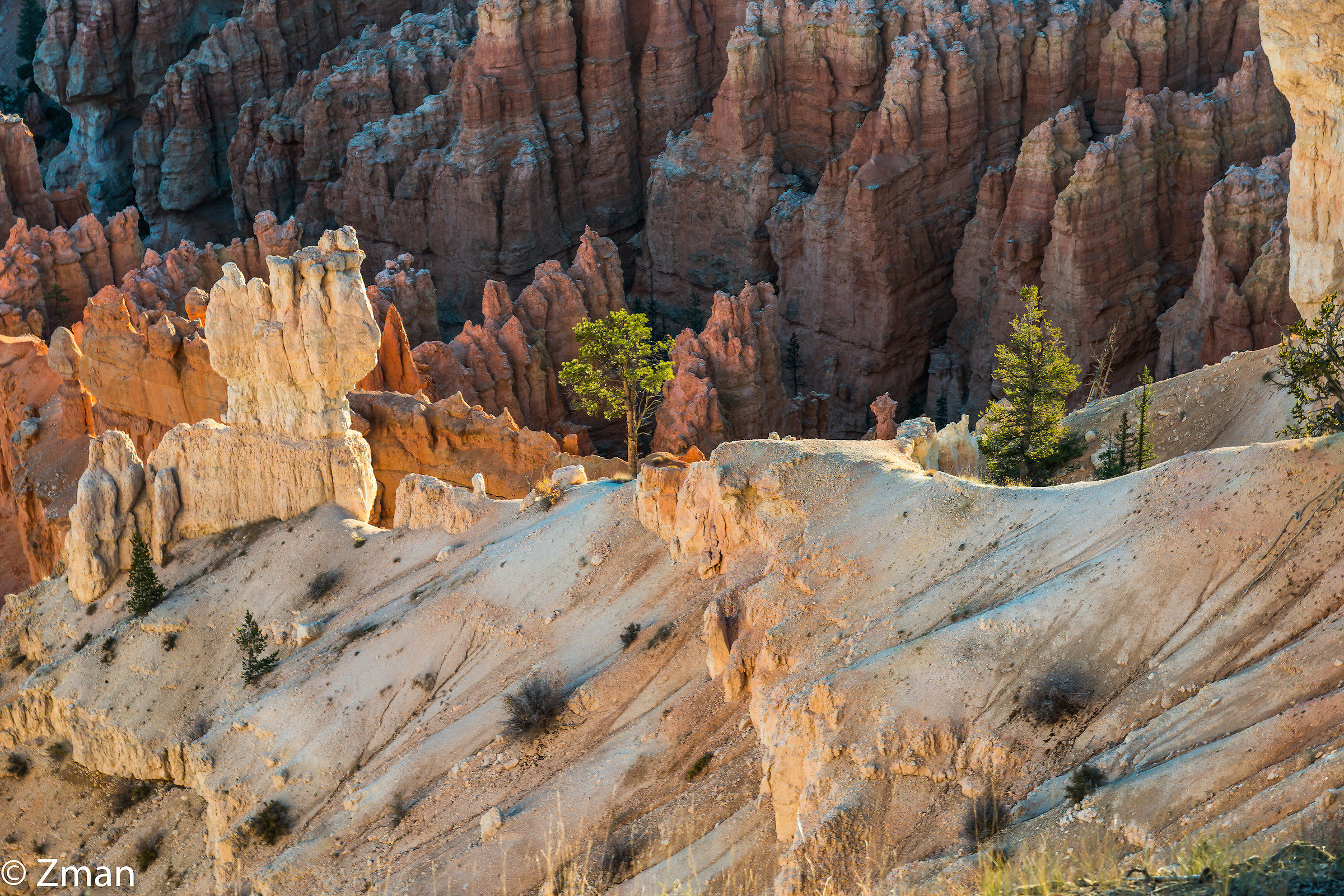 Bryce National Park