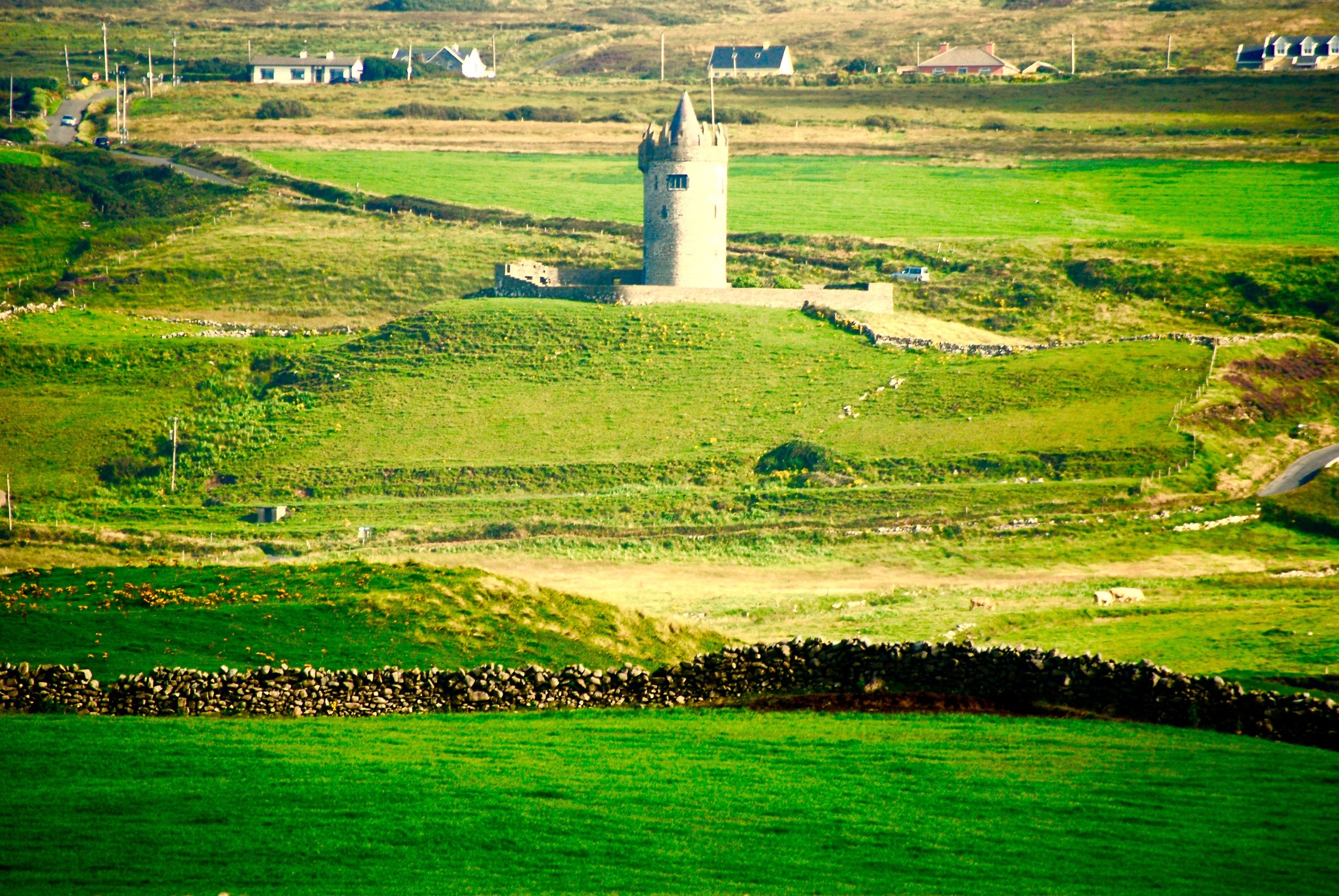 Sunset on green meadows Irish