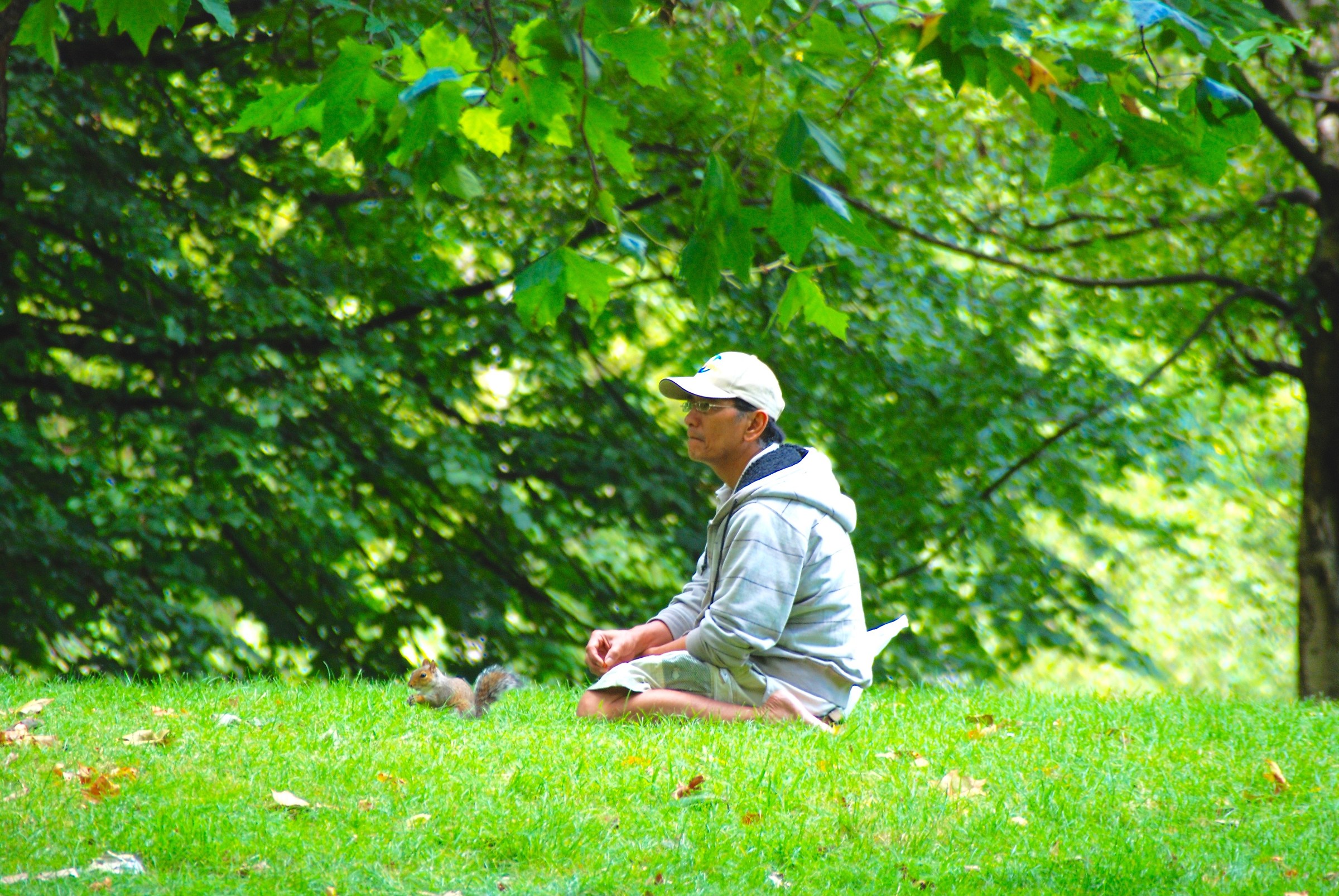 Meditation in the company