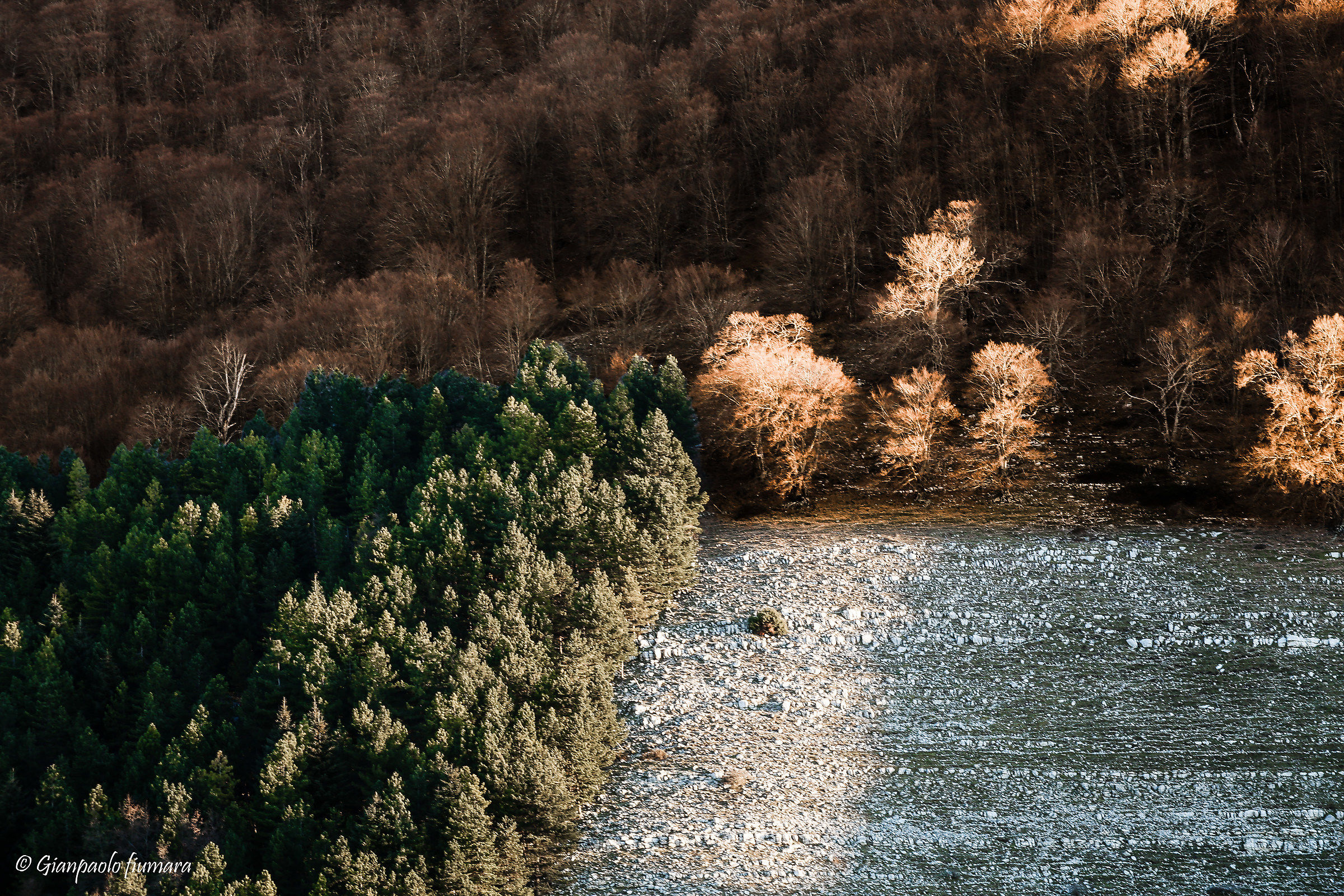 primavera/autunno/uomo