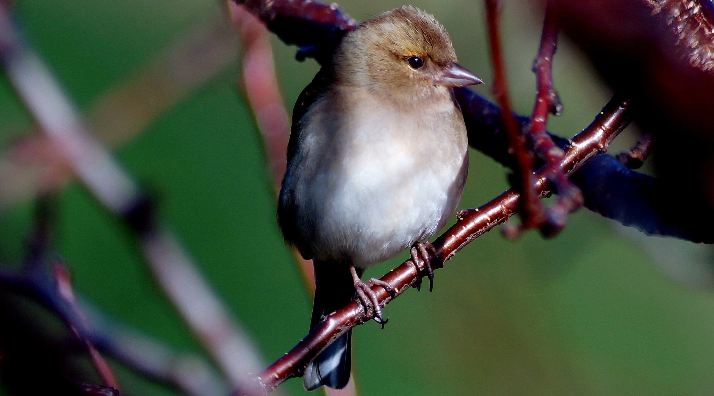 Oggi e' proprio frizzantina!