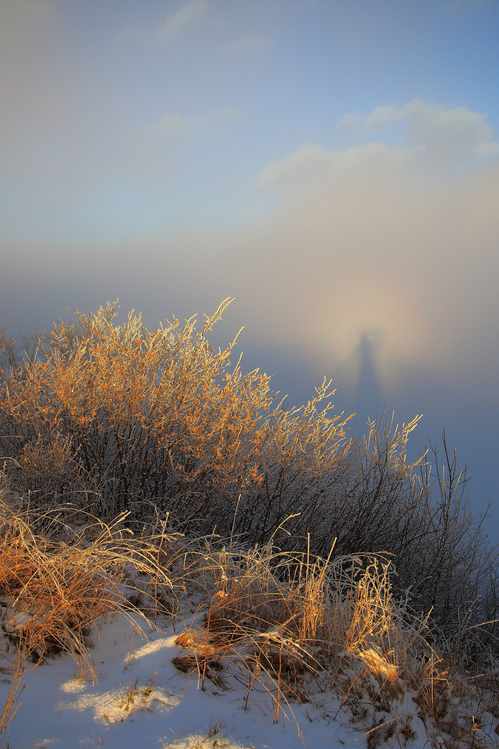 Specter of the Brocken