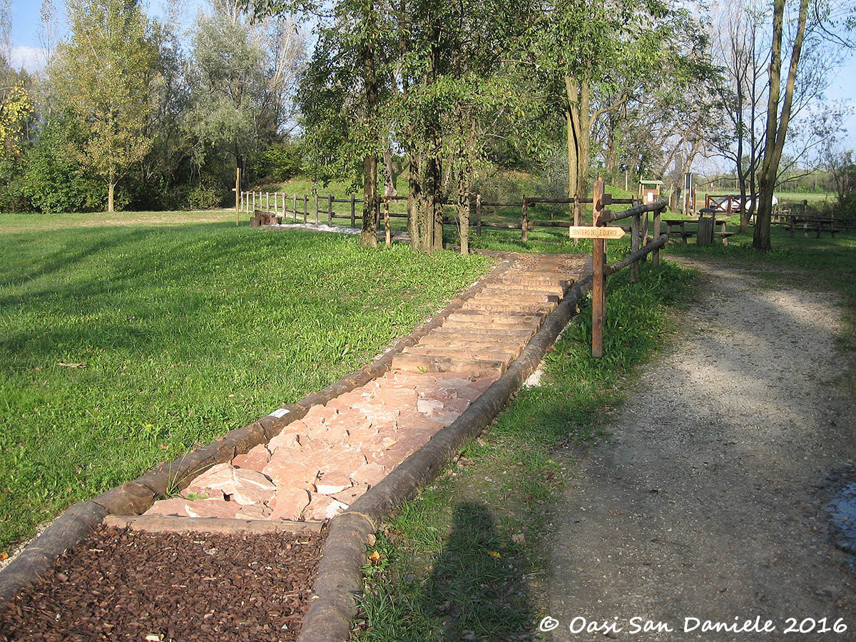 Following the sensory journey barefoot