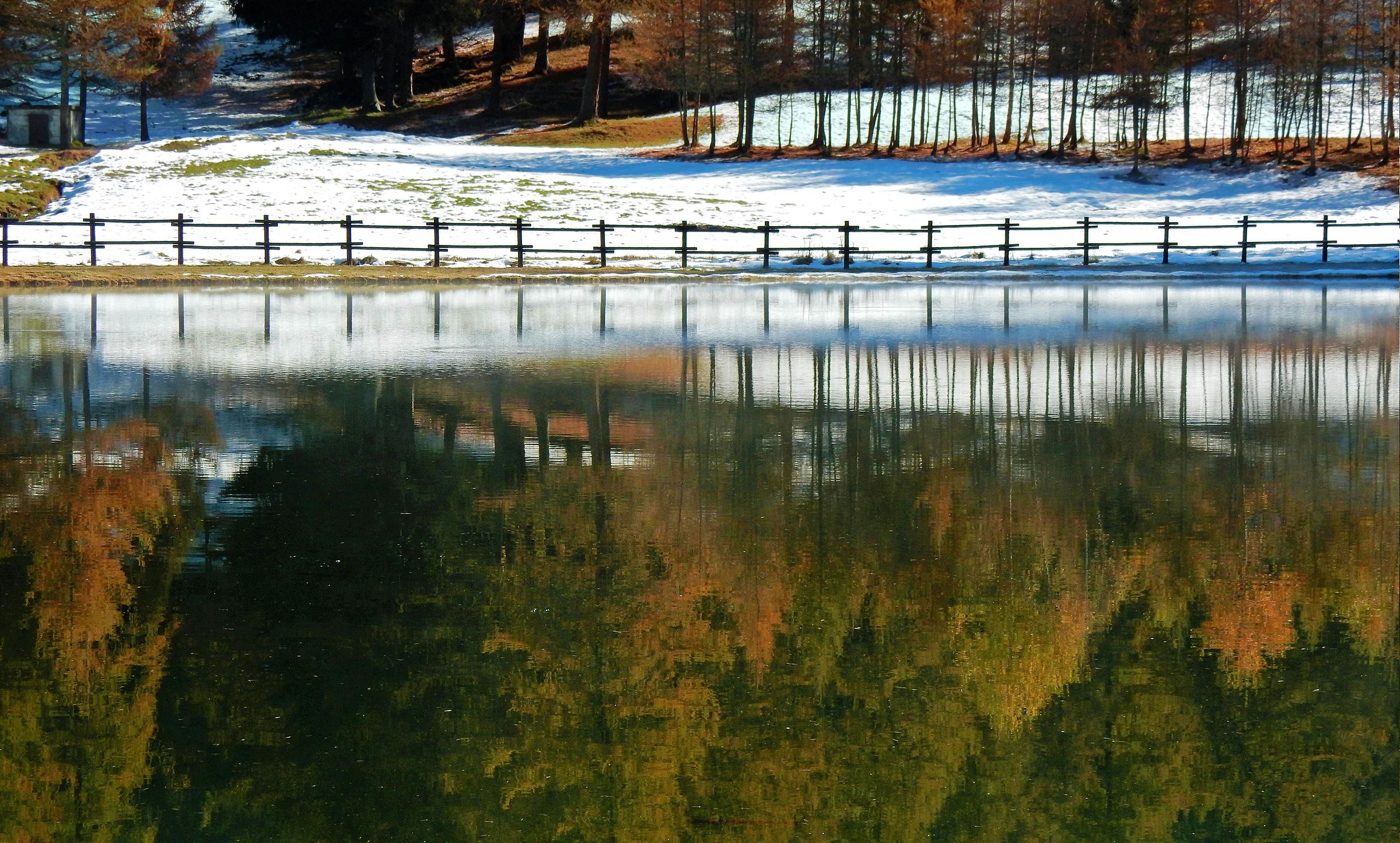 the first snow of 2016 in the Col de Joux (ao)