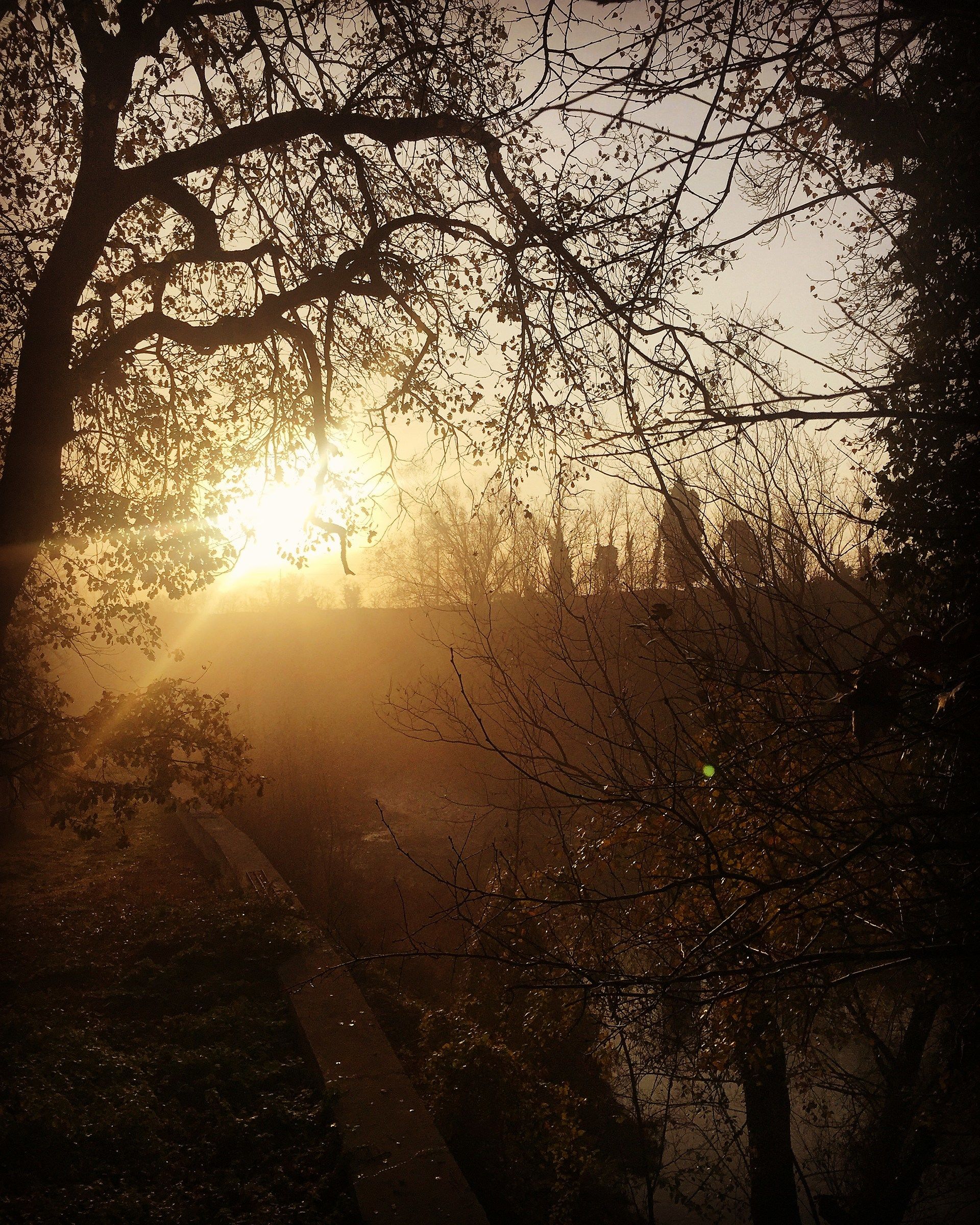 Nebbia all'alba sul fiume