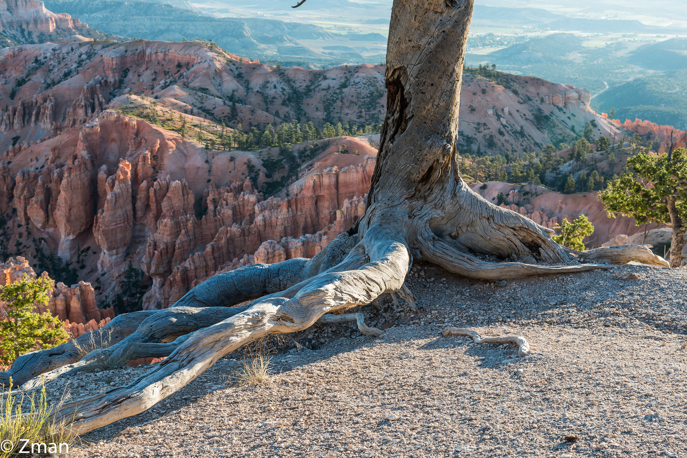 Bryce National Park