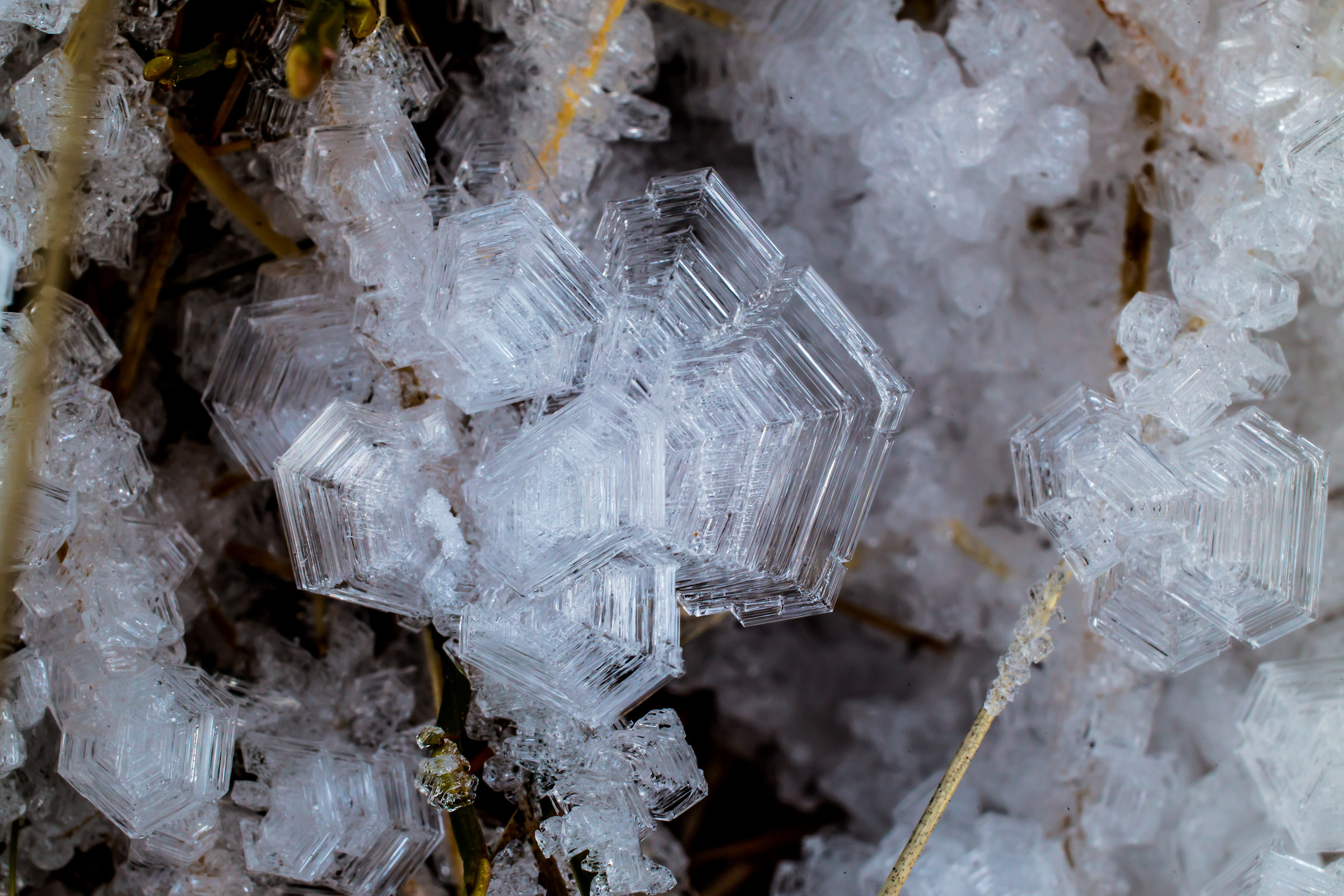 Cristalli di ghiaccio