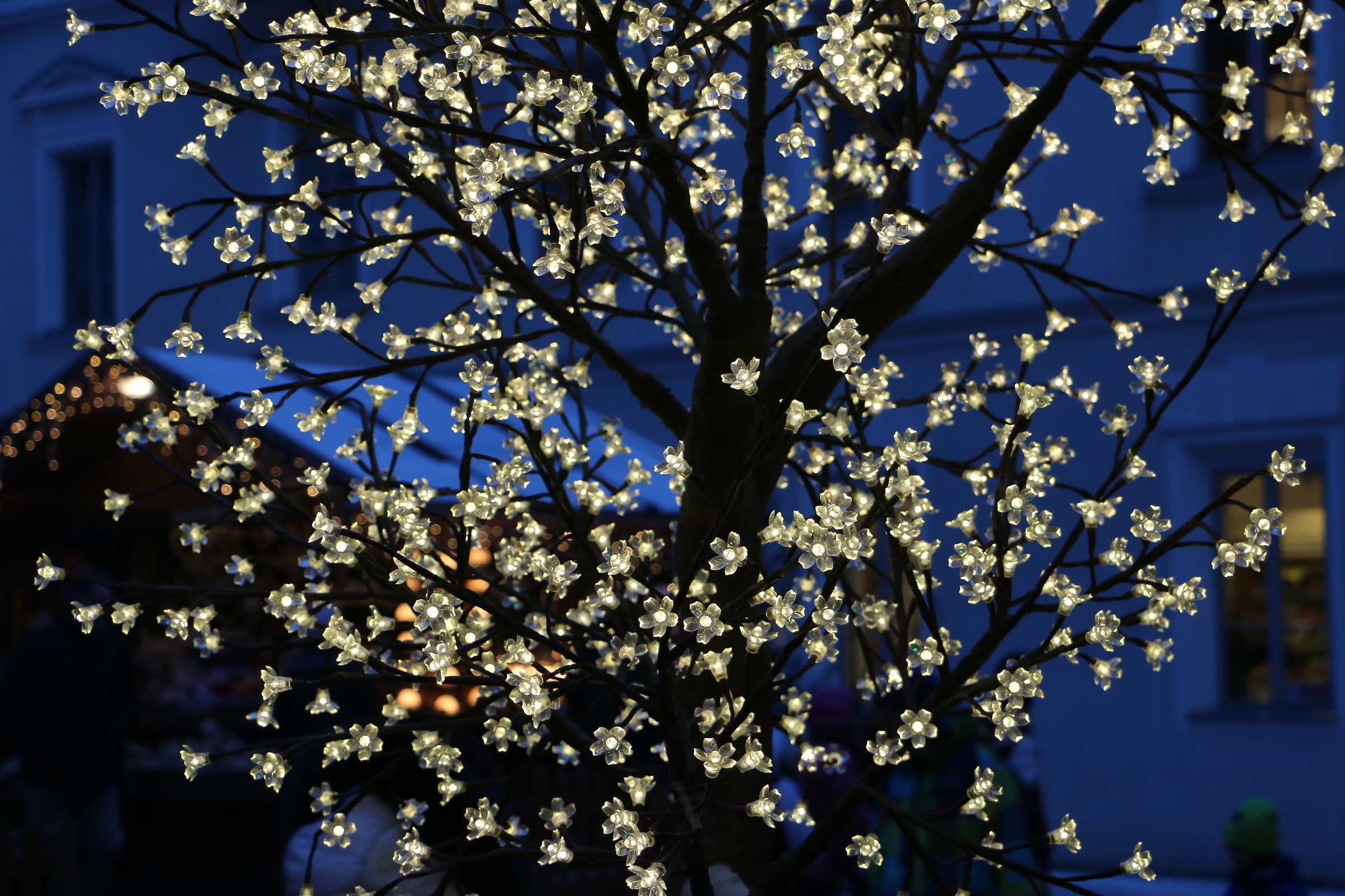 Luci - Luci - Luci -