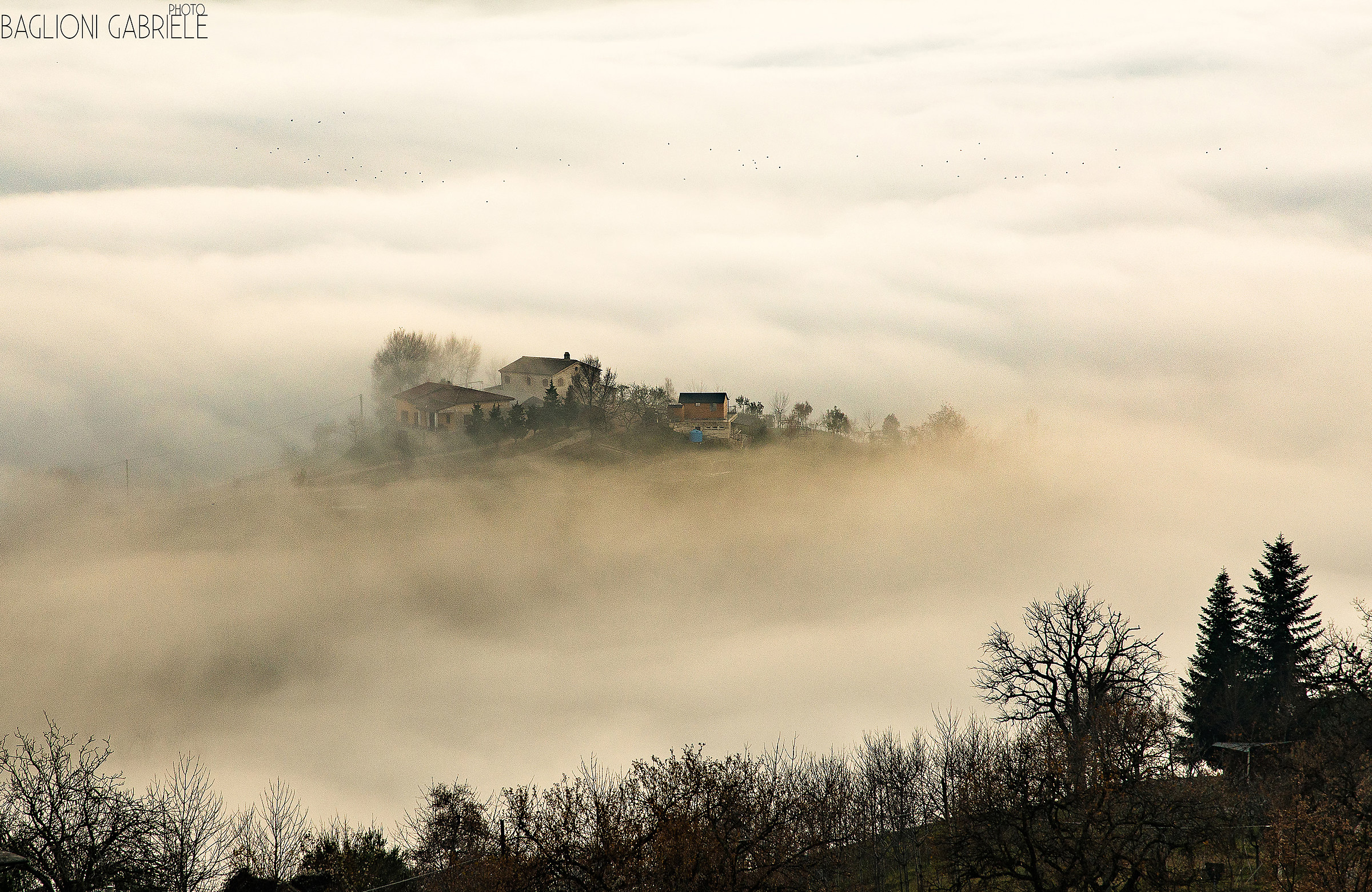 Under my eyes .... a fairytale !!