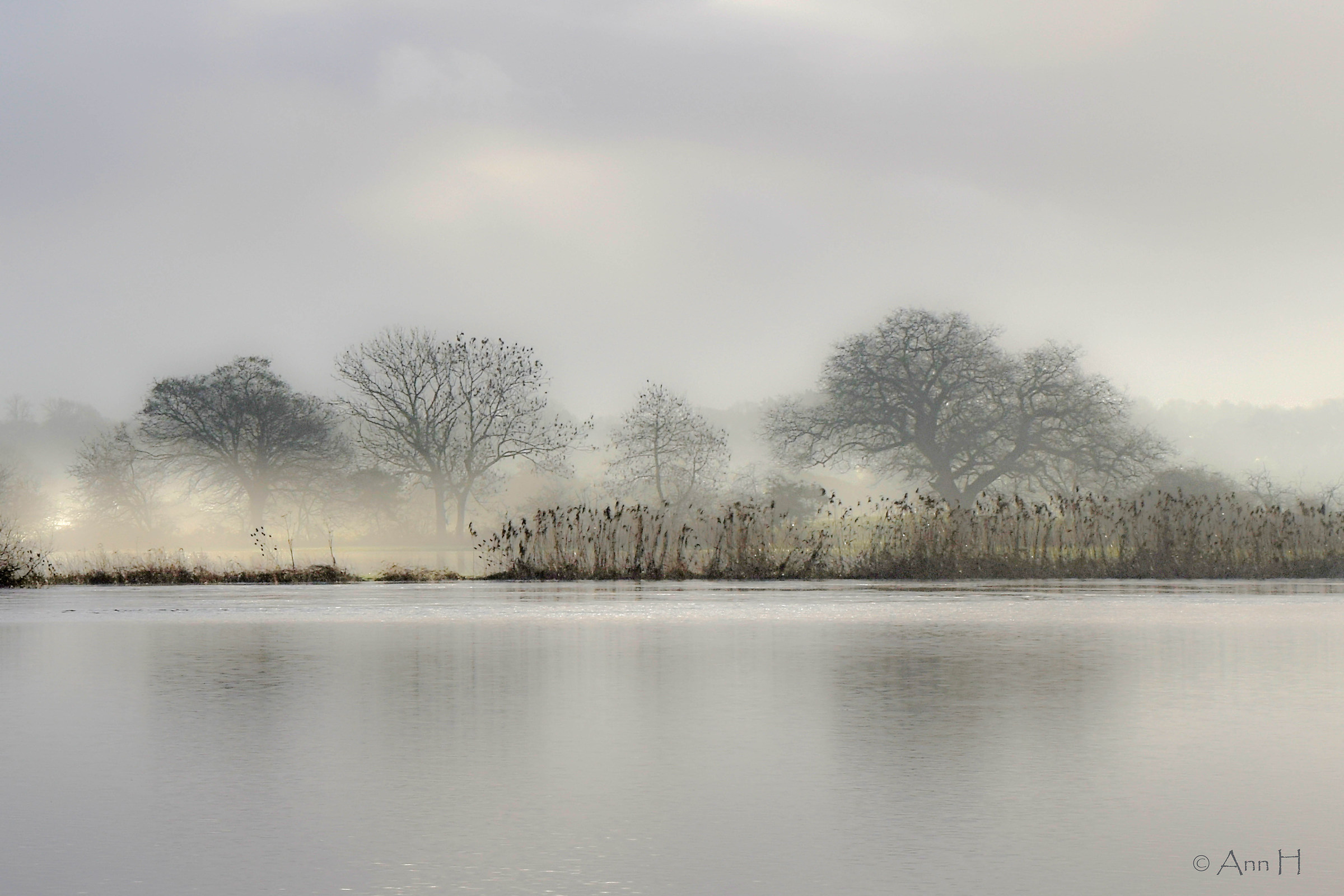Nebbia sopra il Diluvio Waters
