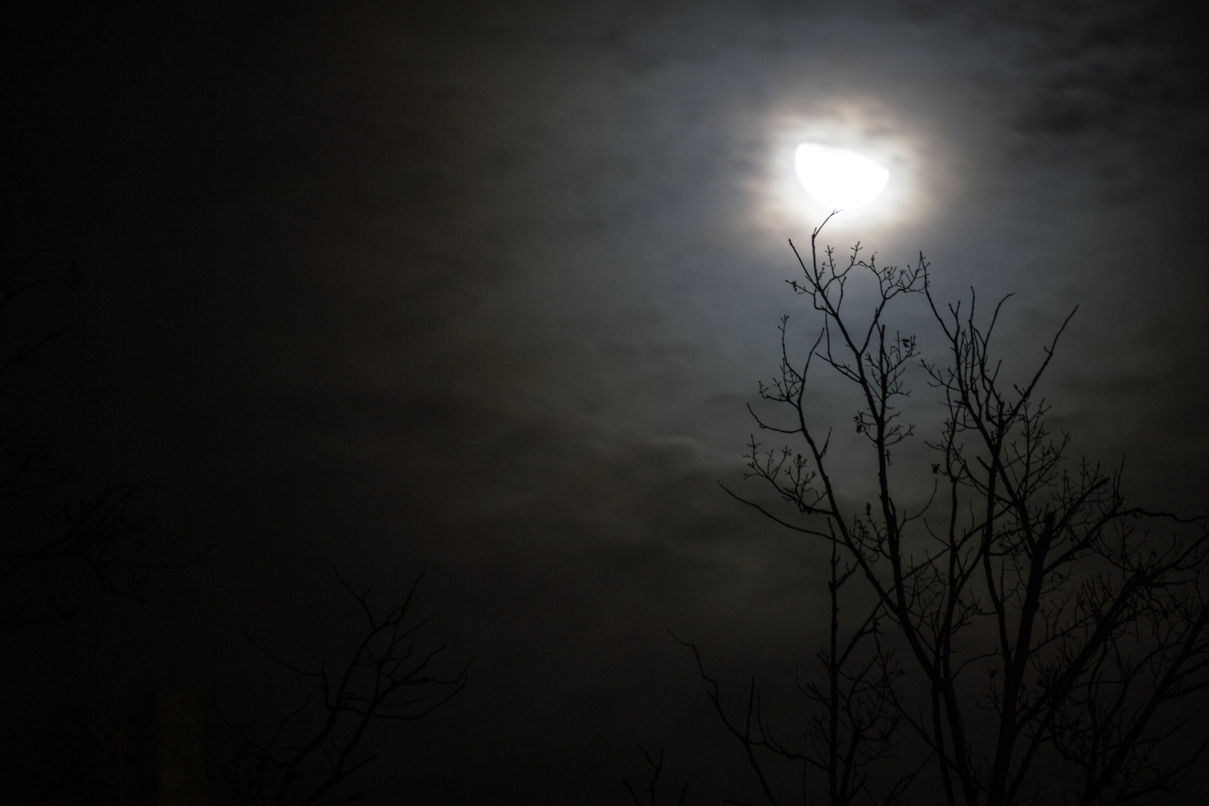 Continui a sfuggirci...